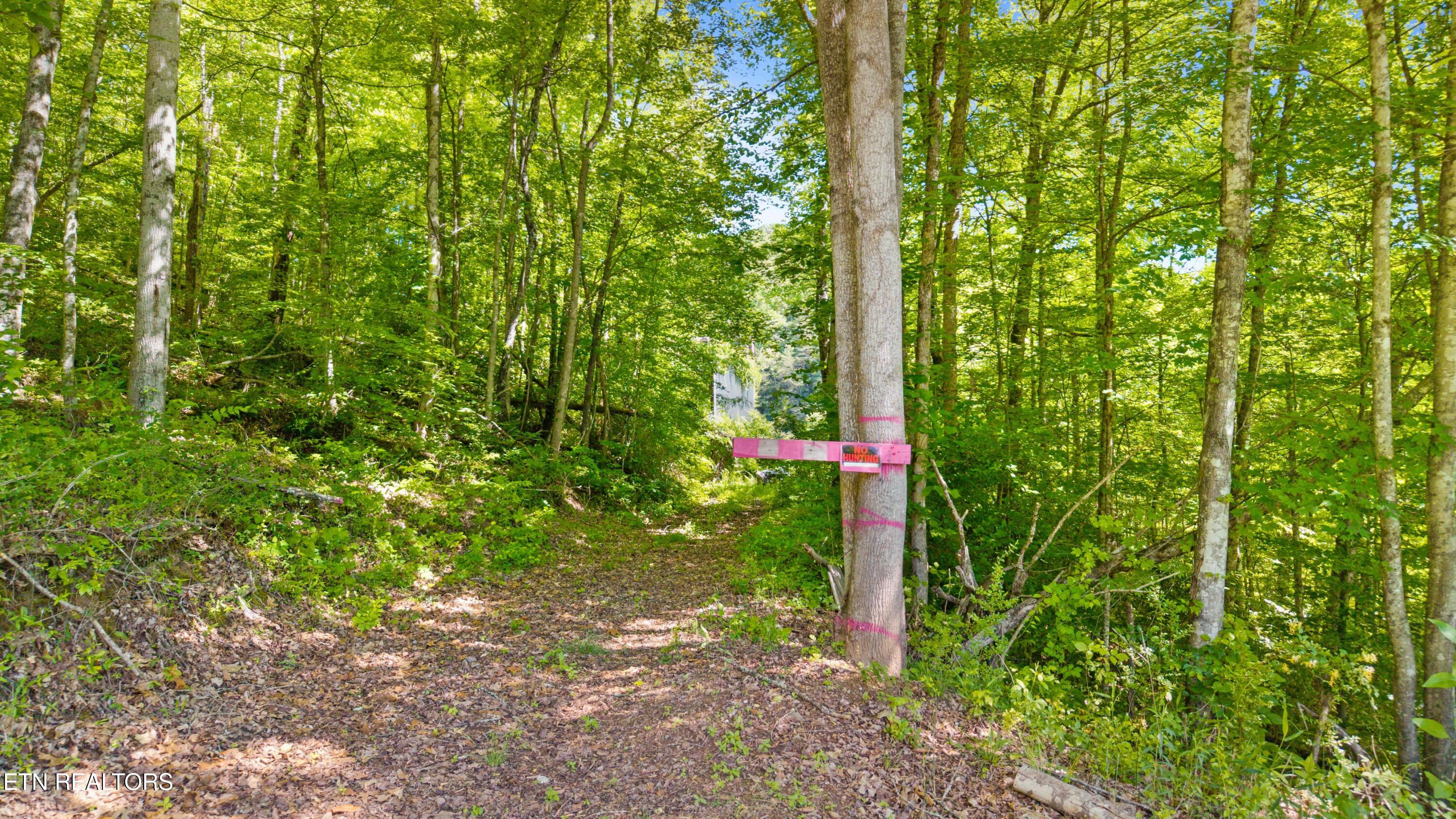 1209 E Bullrun Valley Drive Powell TN 37849