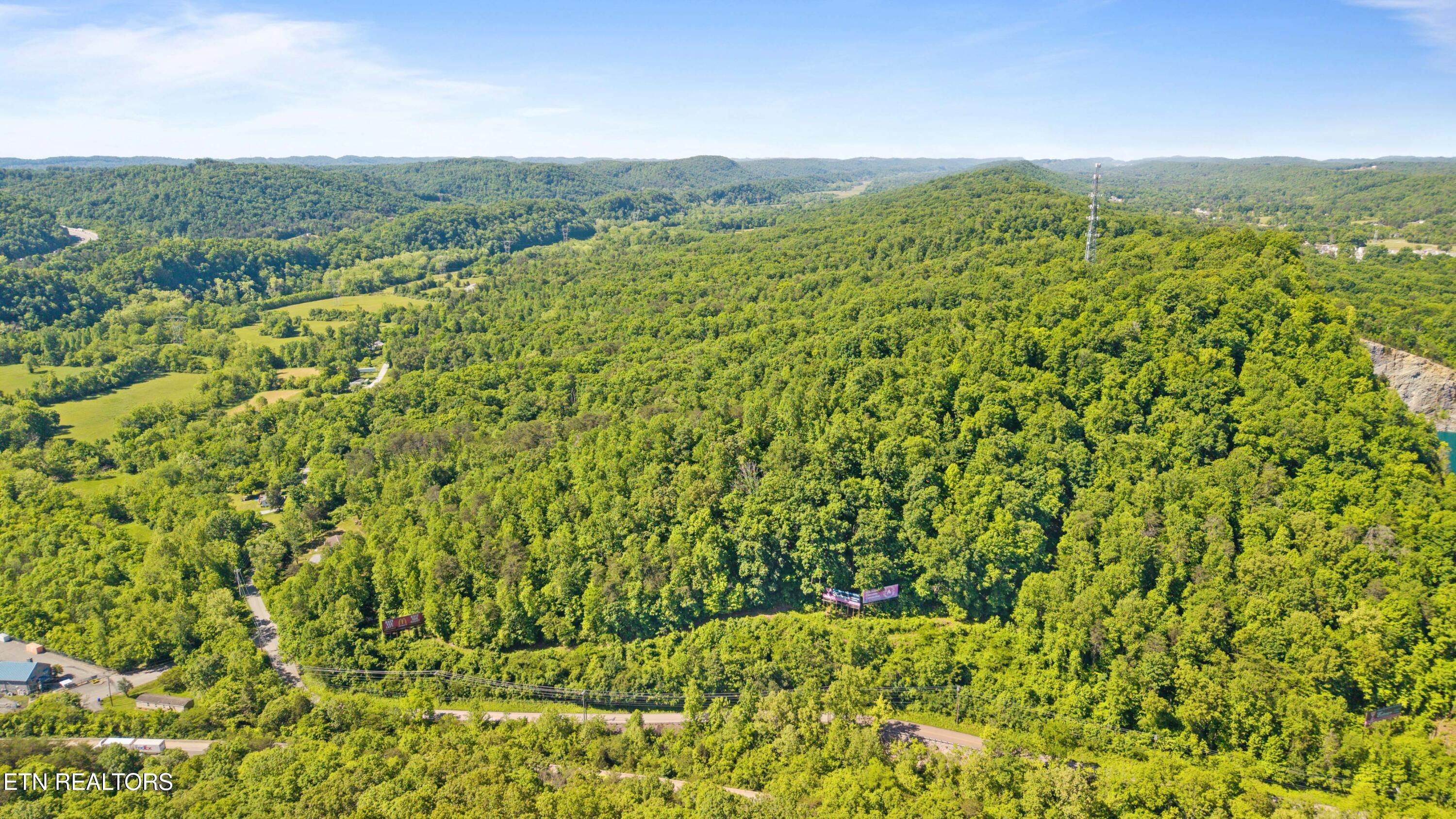 1209 E Bullrun Valley Drive Powell TN 37849
