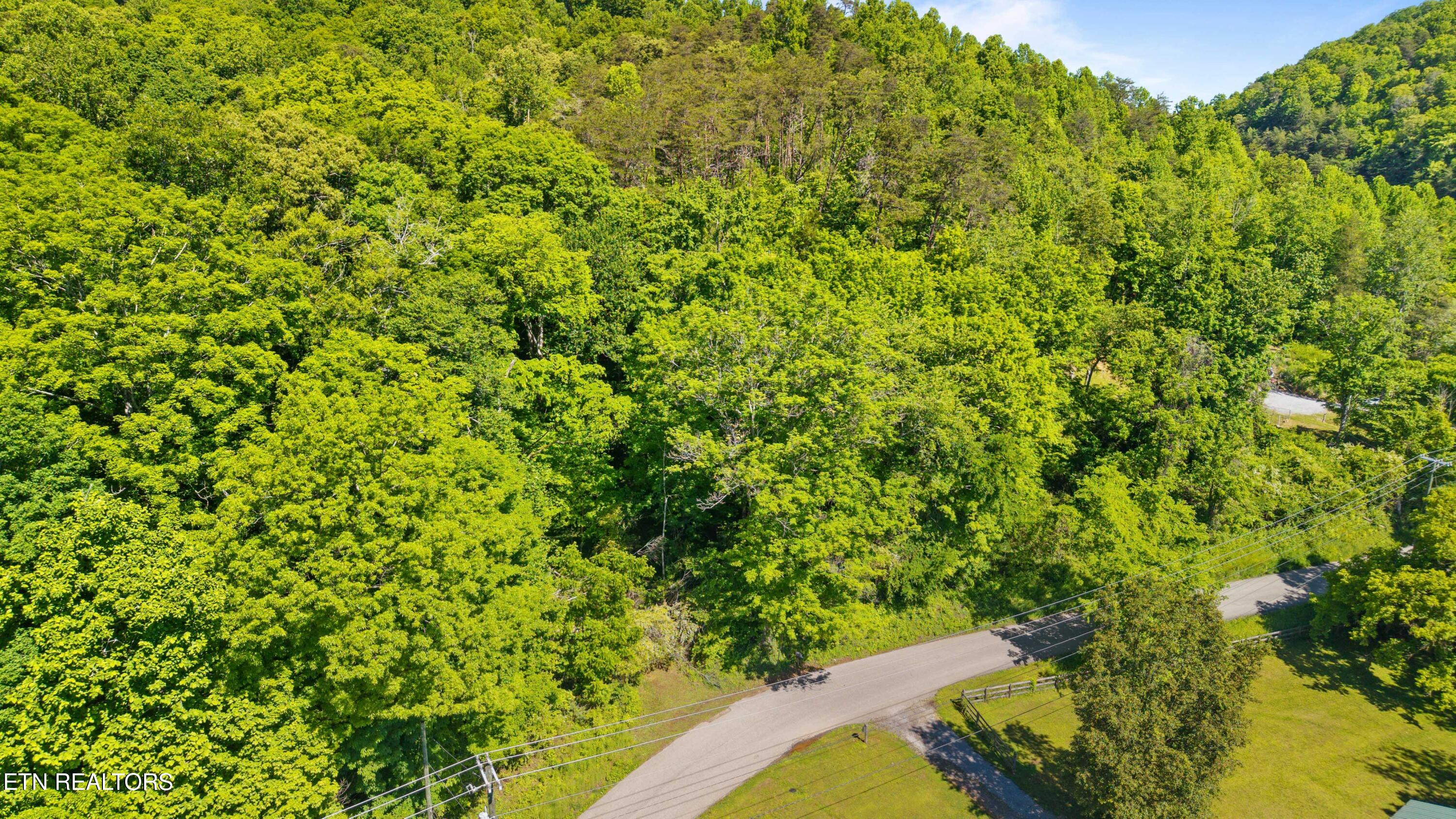 1209 E Bullrun Valley Drive Powell TN 37849