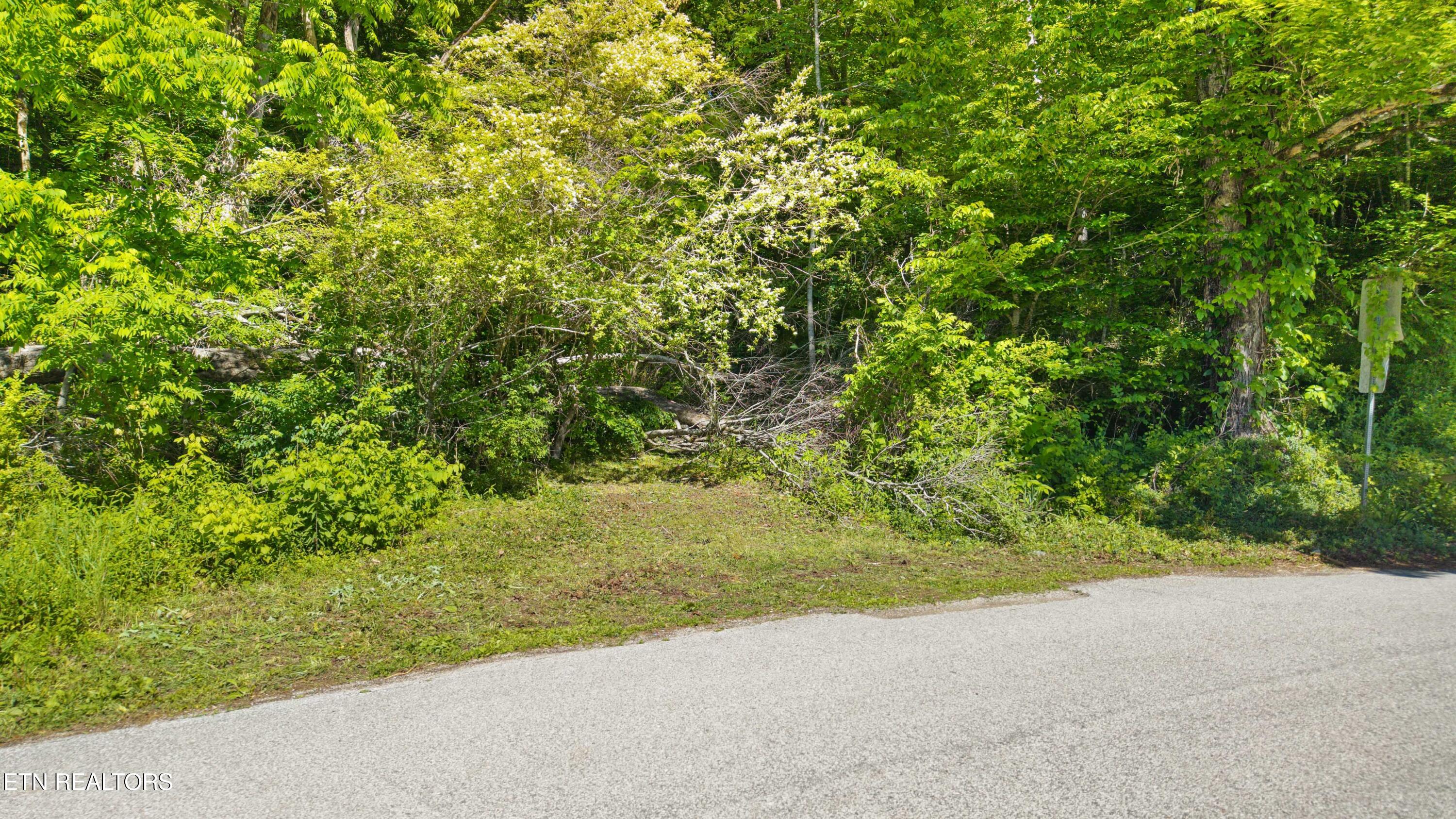 1209 E Bullrun Valley Drive Powell TN 37849