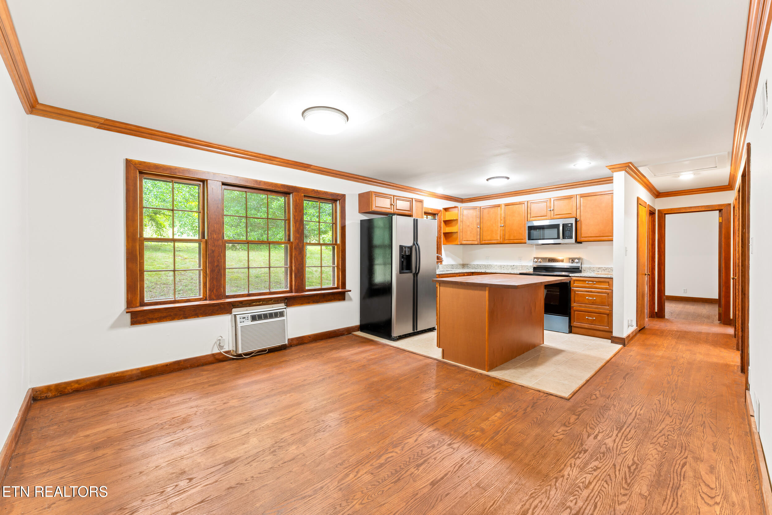 541 Big Springs Drive Mosheim TN 37818