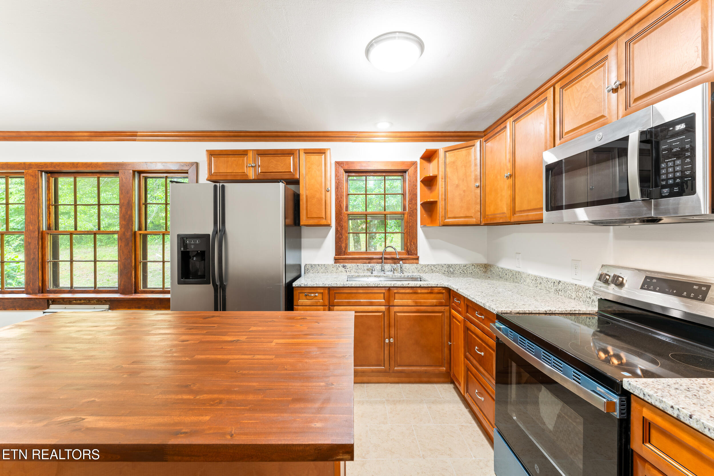 541 Big Springs Drive Mosheim TN 37818