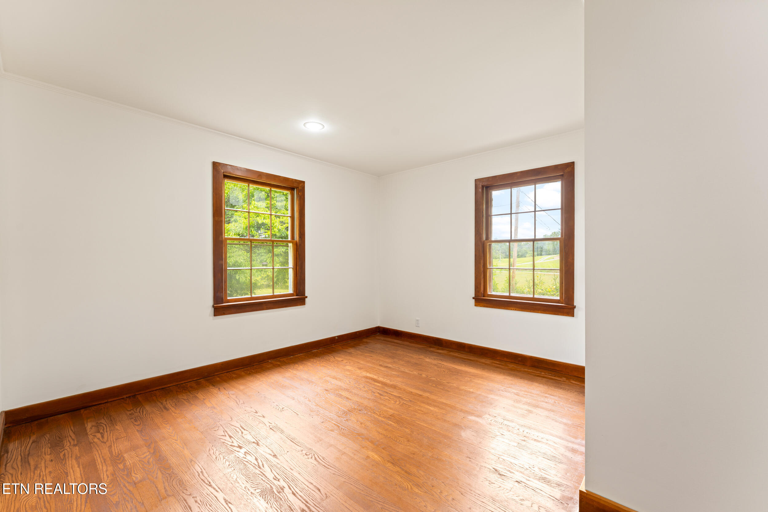 541 Big Springs Drive Mosheim TN 37818