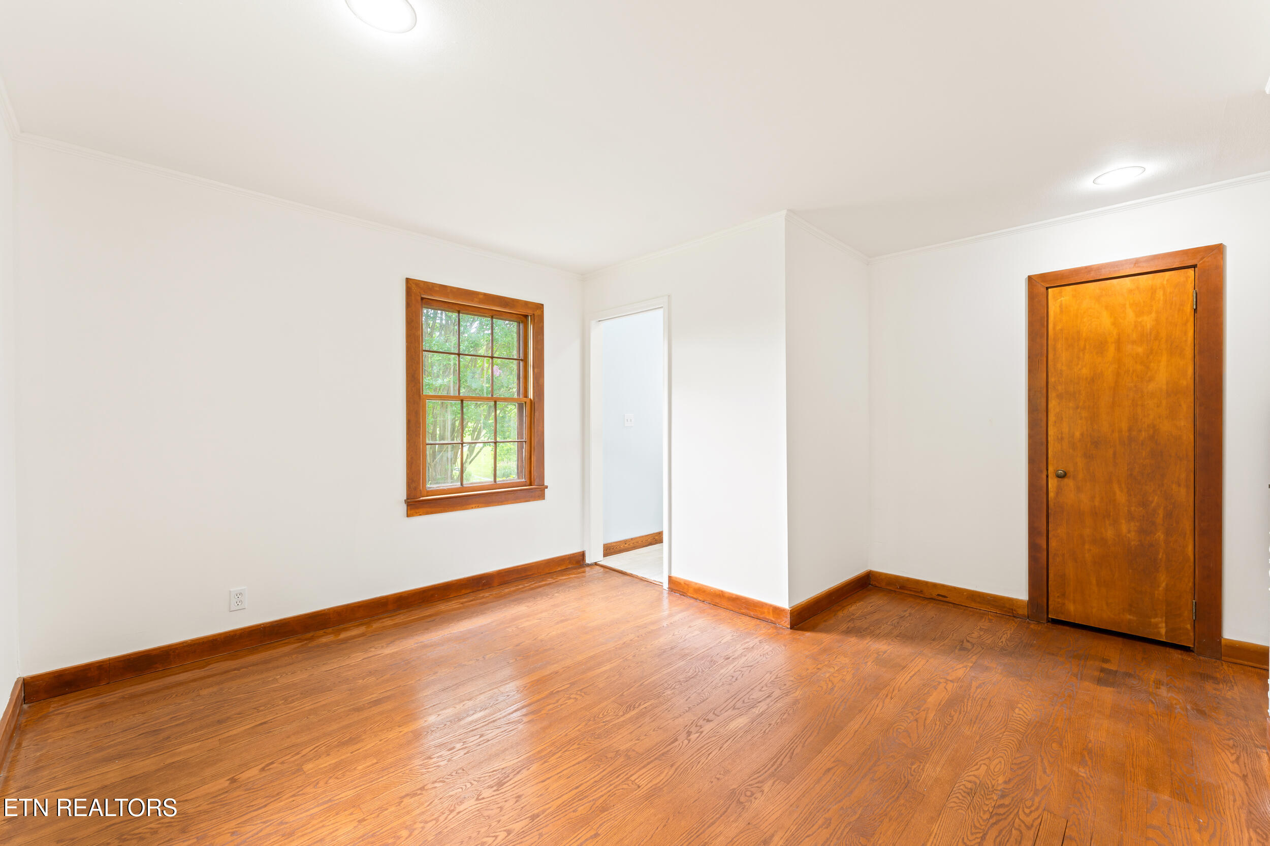 541 Big Springs Drive Mosheim TN 37818