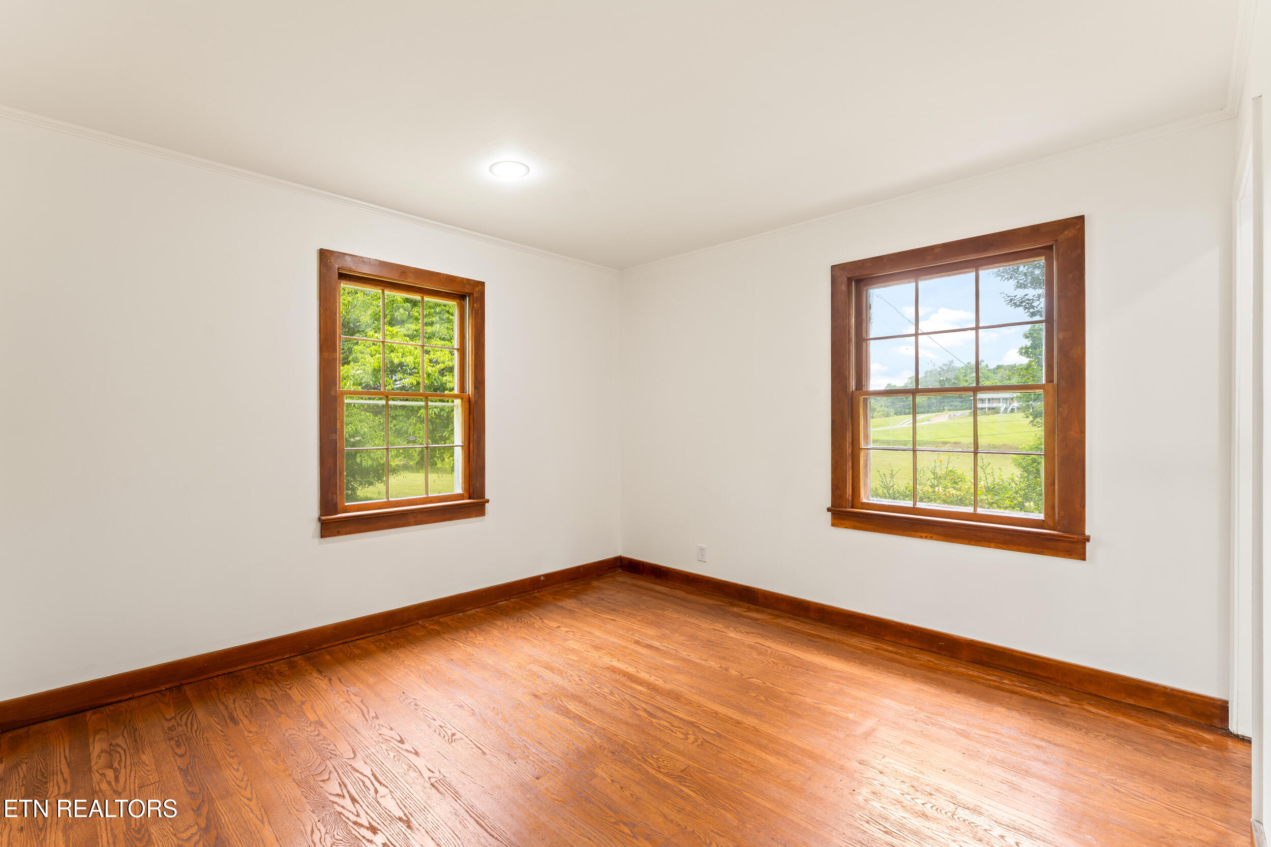 541 Big Springs Drive Mosheim TN 37818
