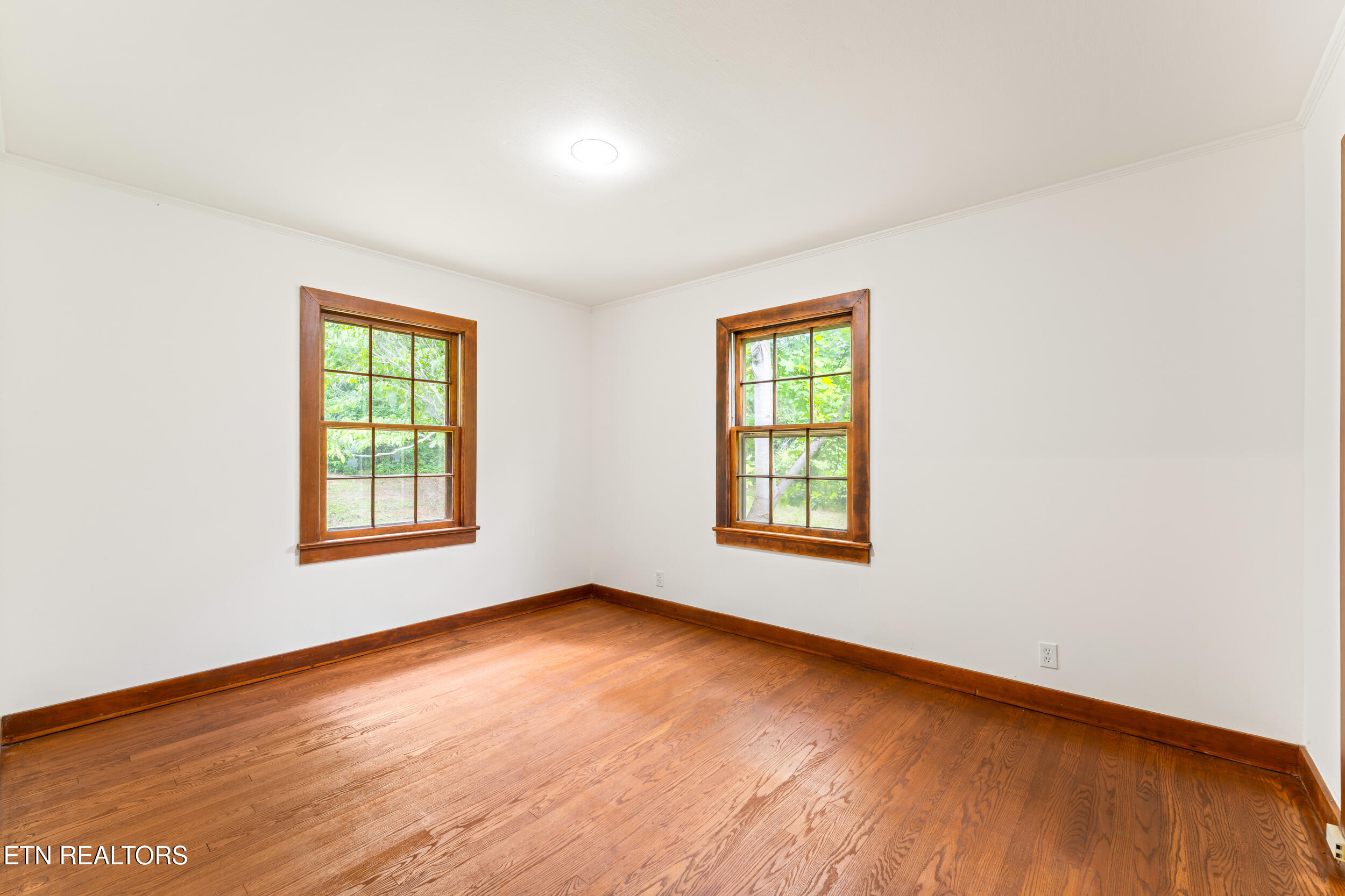 541 Big Springs Drive Mosheim TN 37818