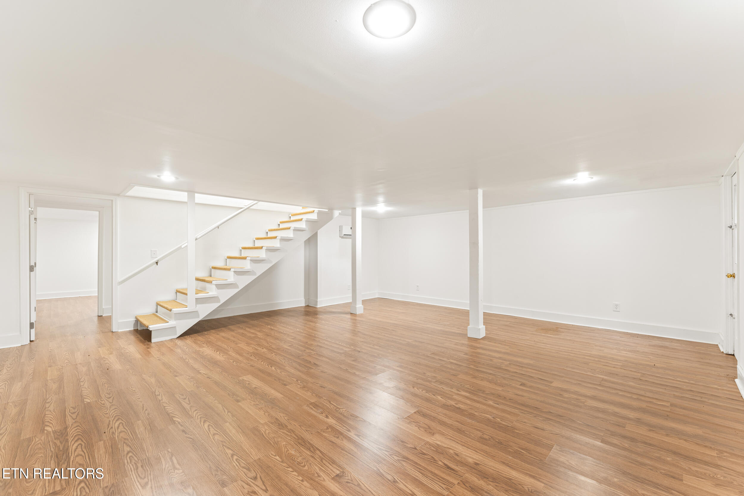 541 Big Springs Drive Mosheim TN 37818