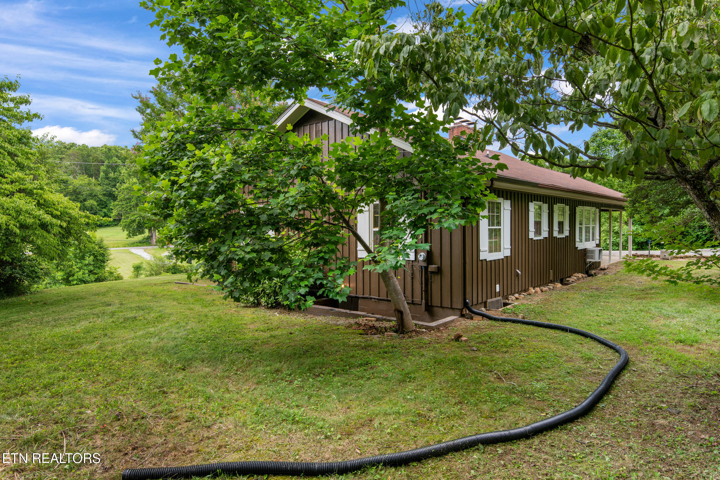 541 Big Springs Drive Mosheim TN 37818