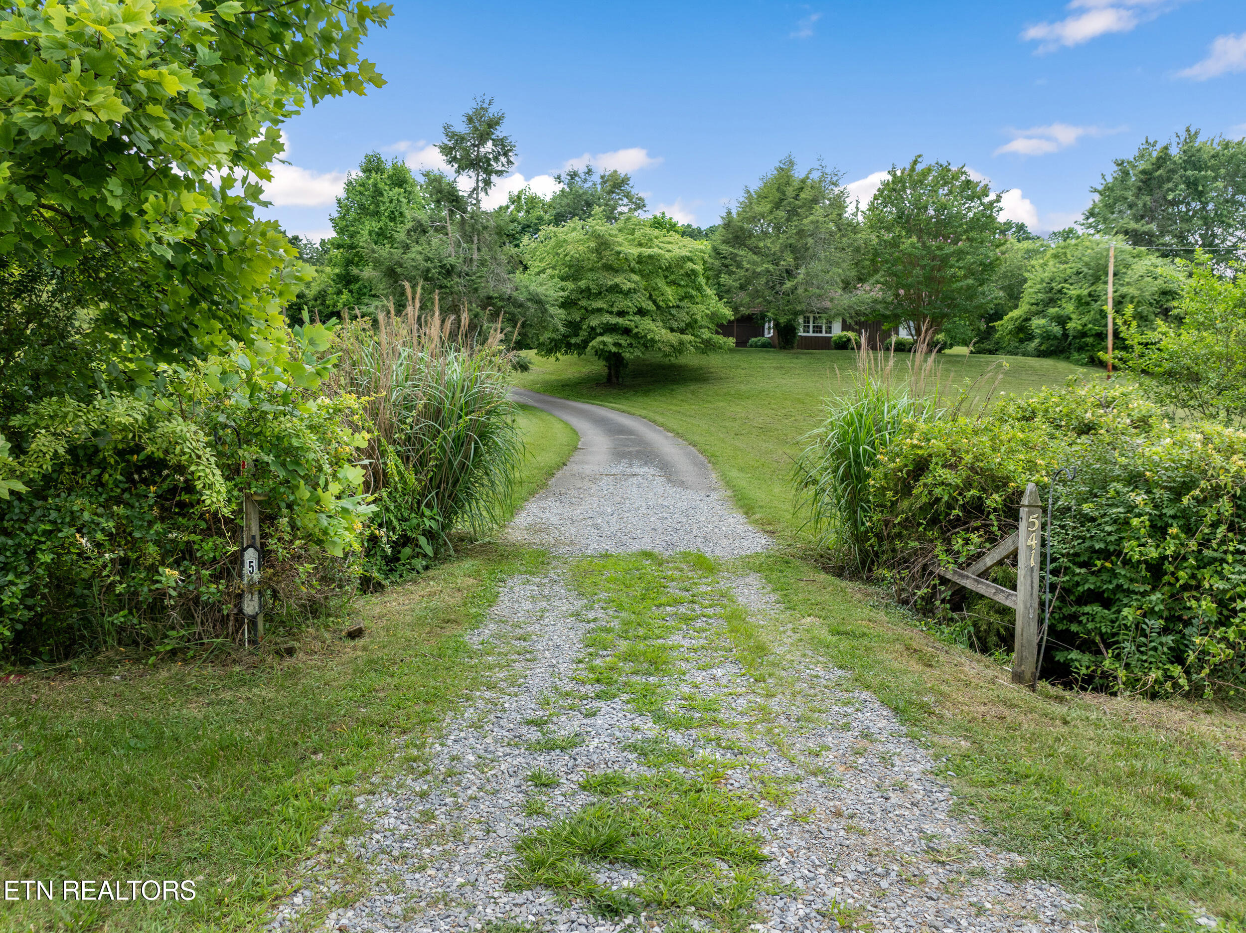 541 Big Springs Drive Mosheim TN 37818