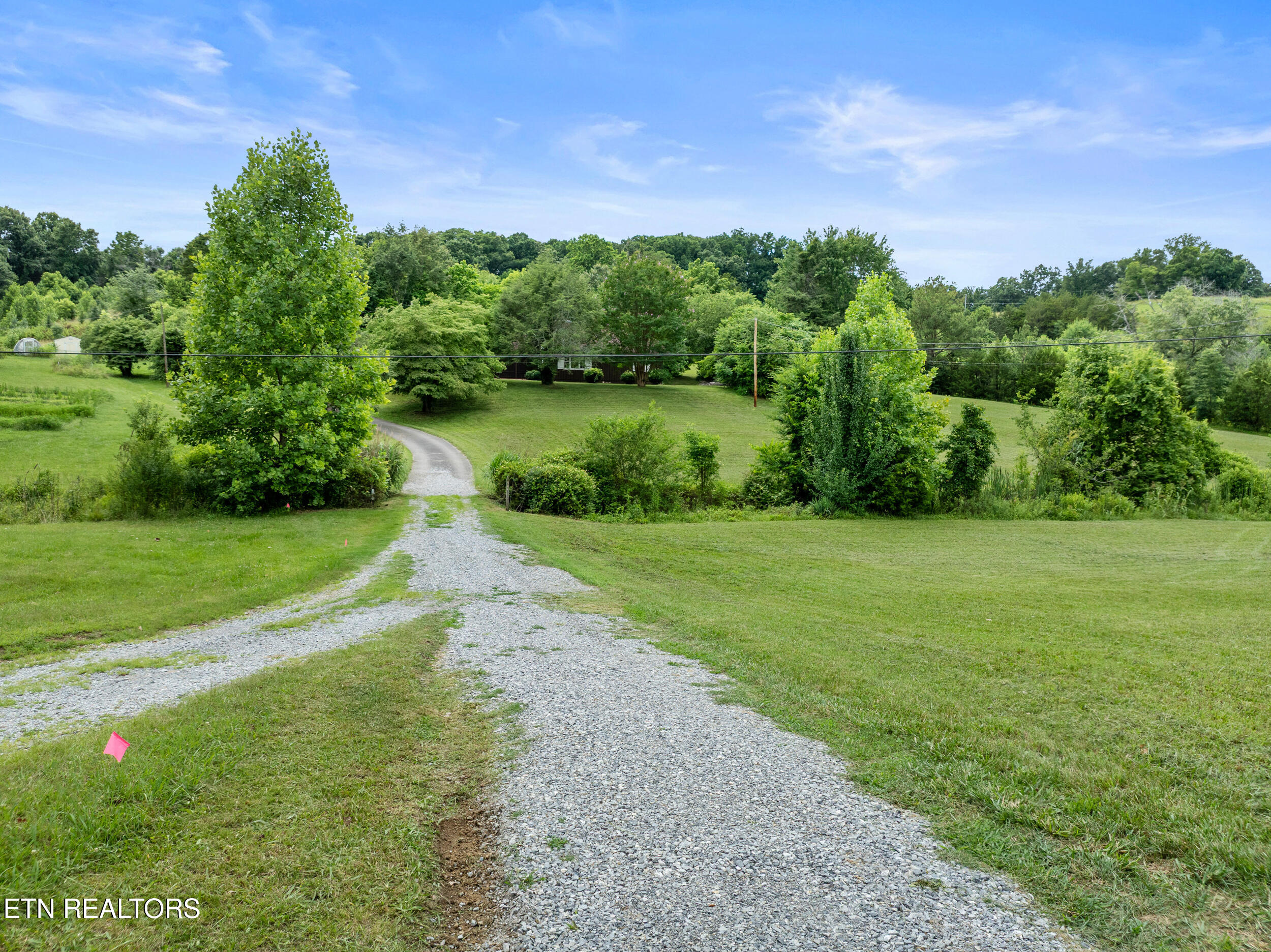 541 Big Springs Drive Mosheim TN 37818