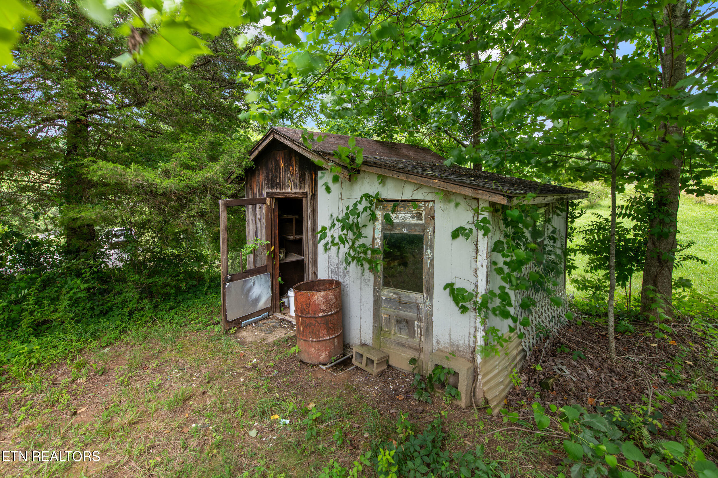 541 Big Springs Drive Mosheim TN 37818
