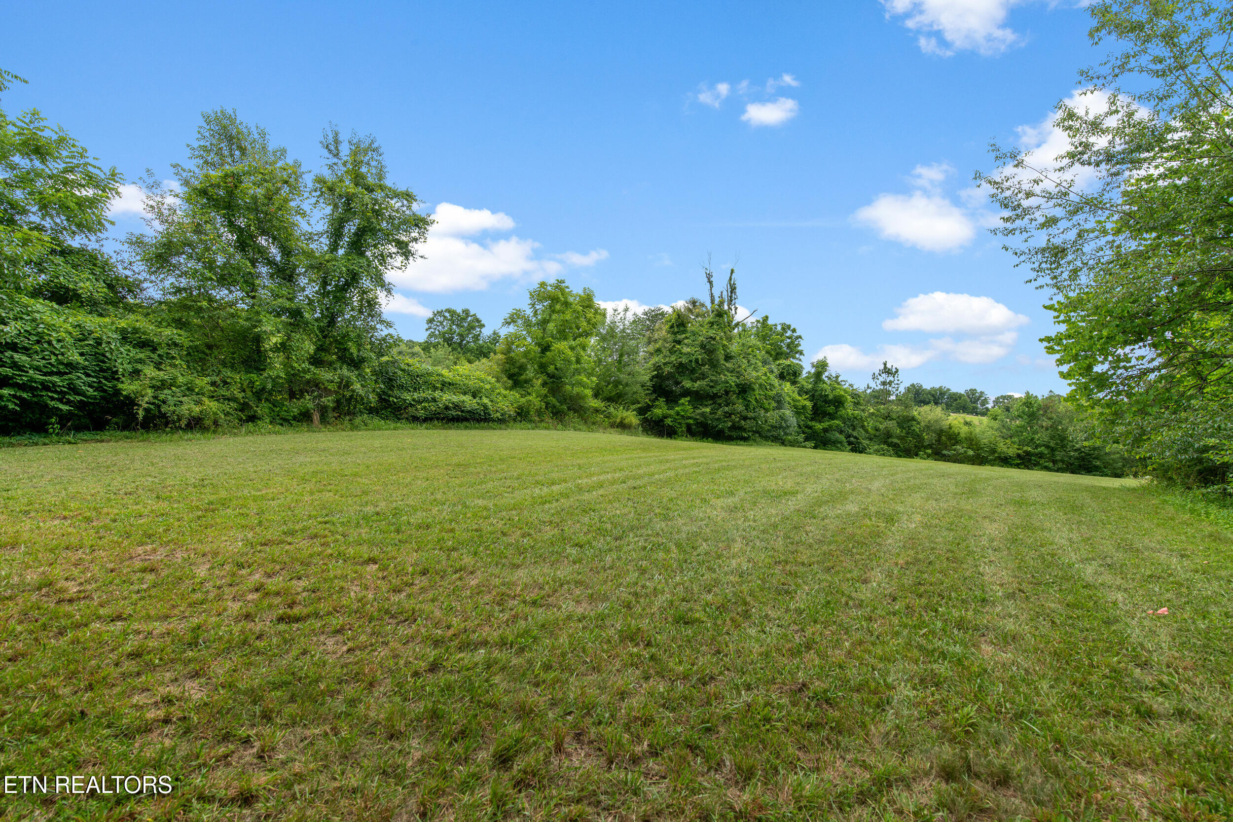541 Big Springs Drive Mosheim TN 37818