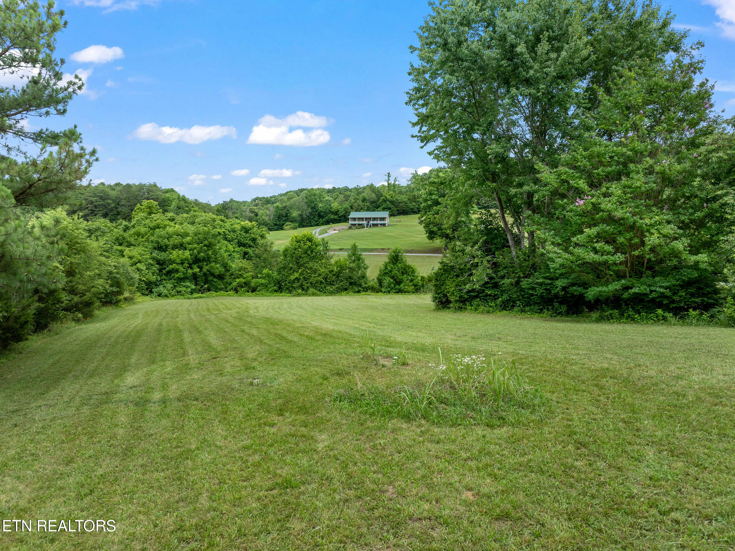 541 Big Springs Drive Mosheim TN 37818