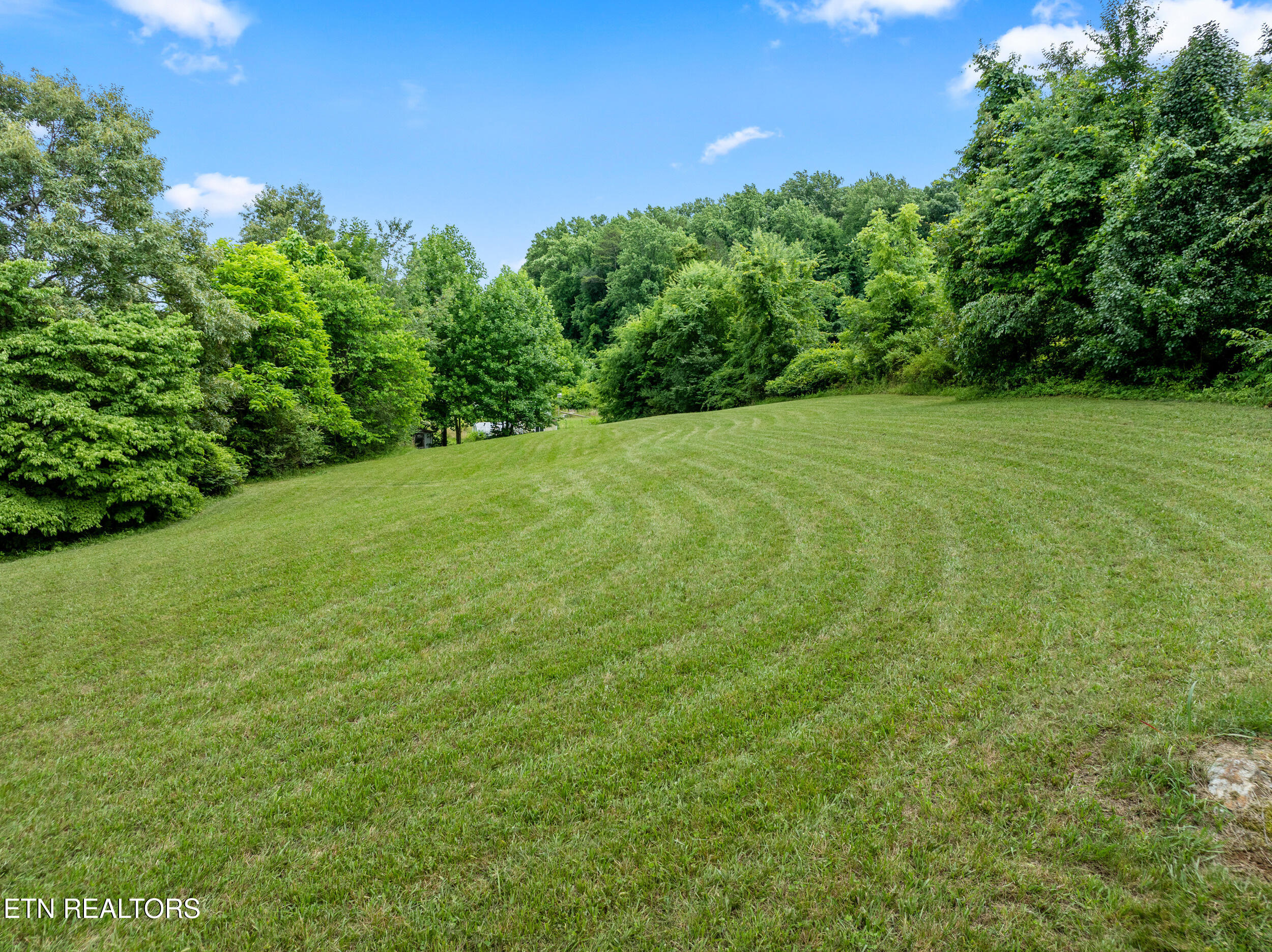 541 Big Springs Drive Mosheim TN 37818