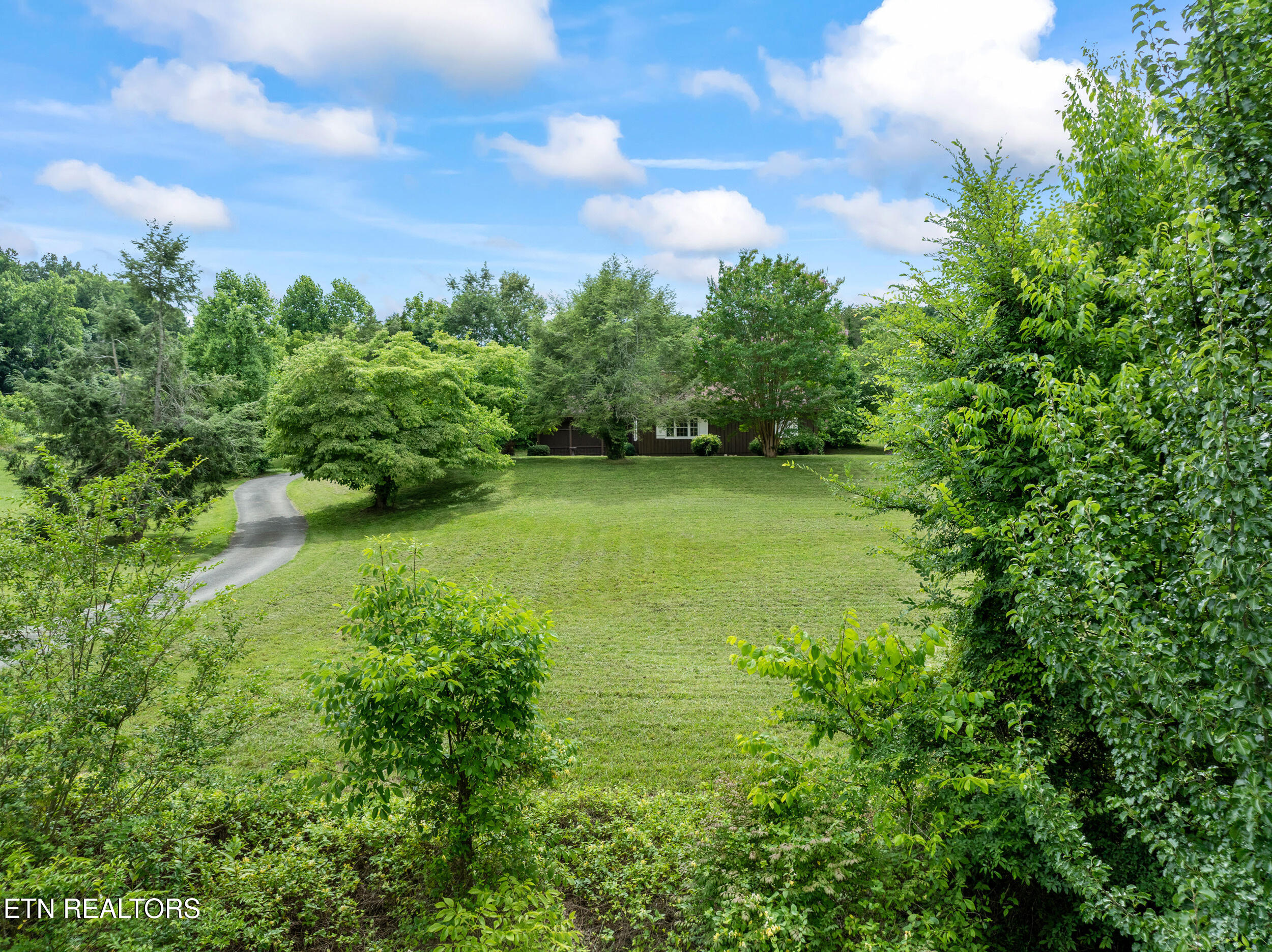 541 Big Springs Drive Mosheim TN 37818