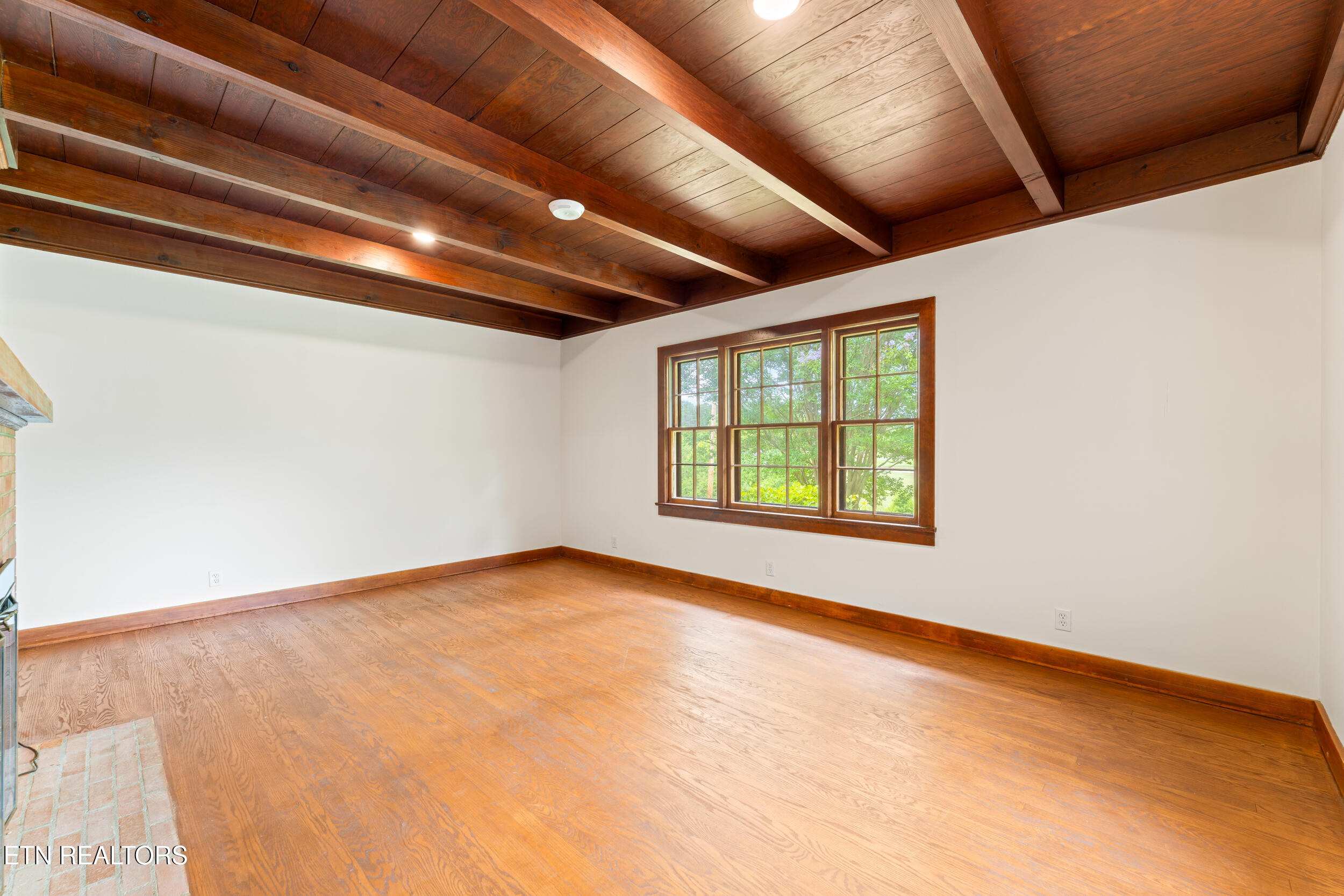 541 Big Springs Drive Mosheim TN 37818