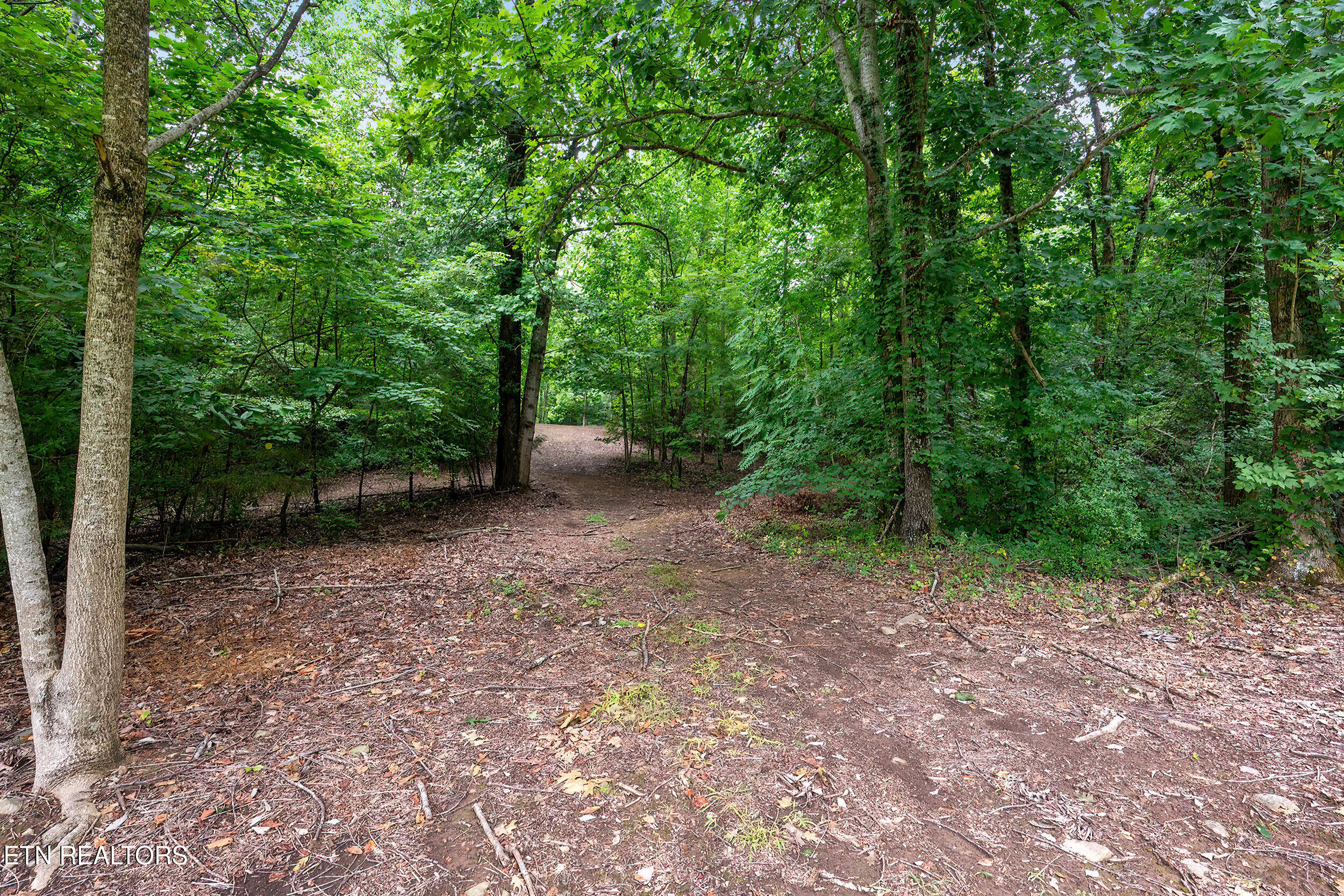 910 English Mtn Road Cosby TN 37722