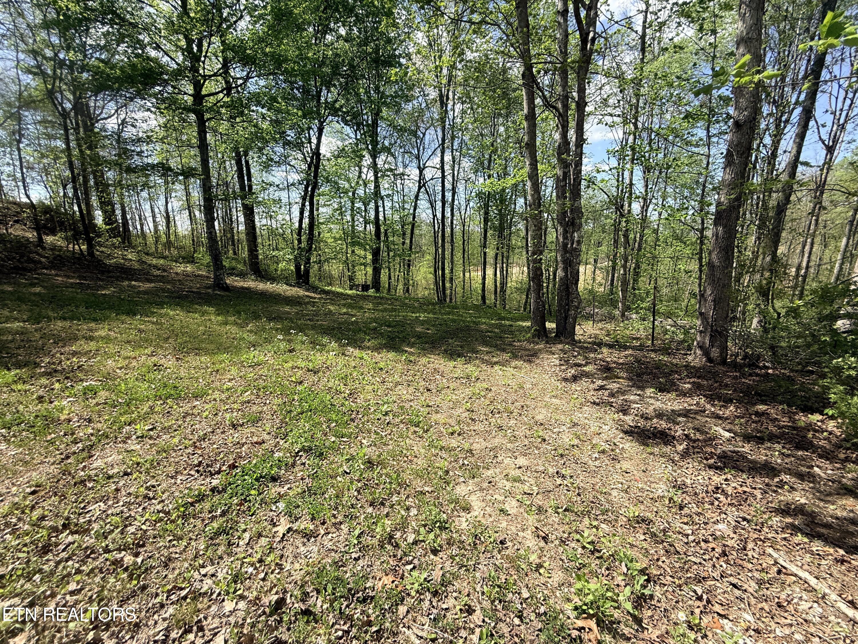 242 Joe Barnett Road Jamestown TN 38556