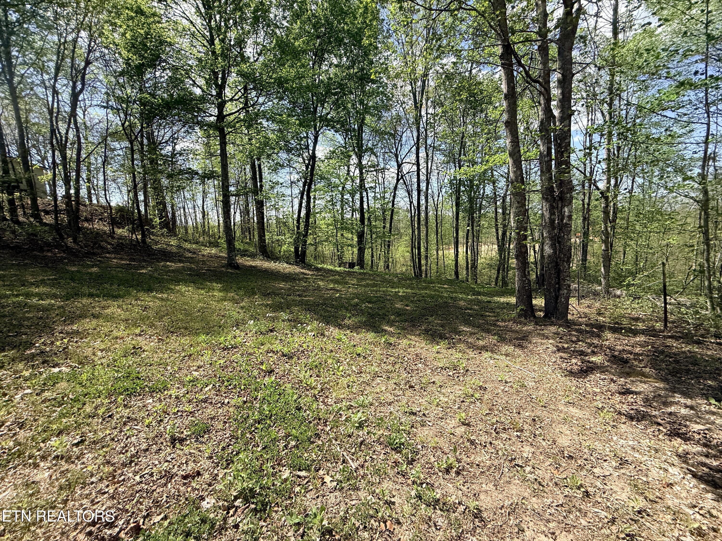 242 Joe Barnett Road Jamestown TN 38556