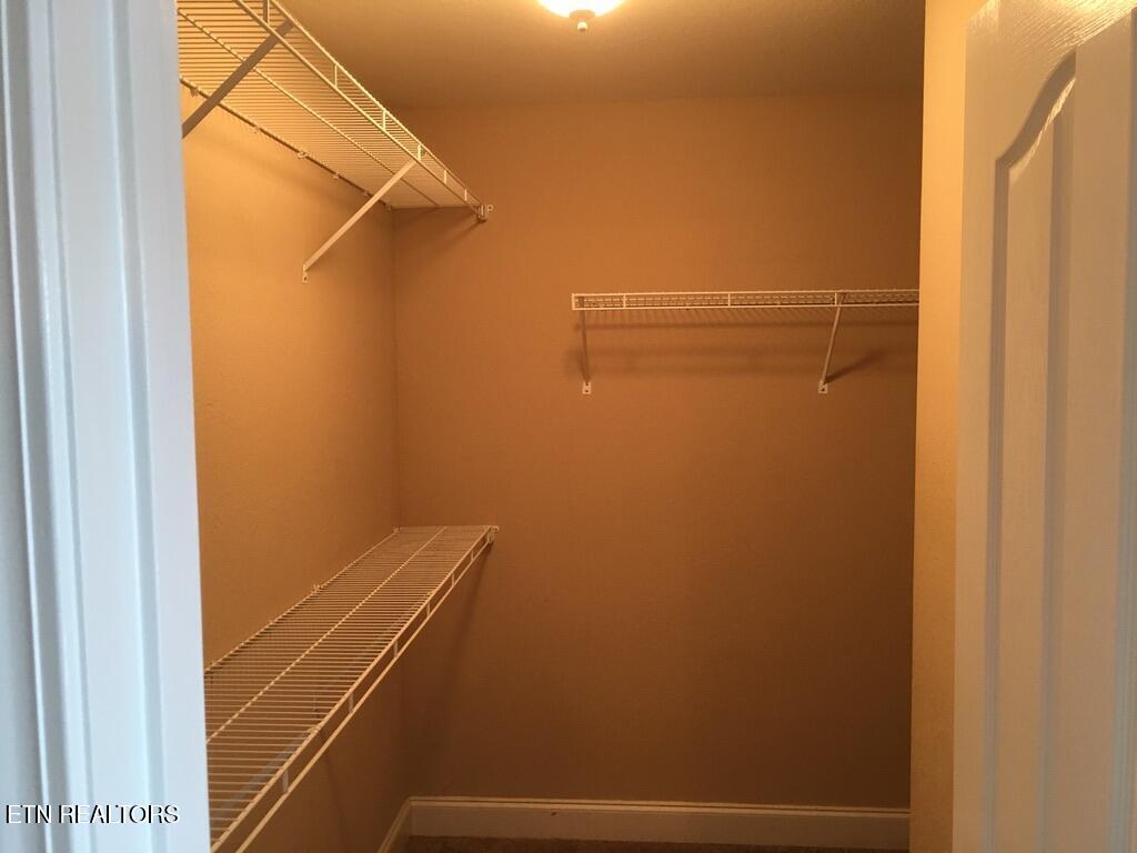3135 Blueberry Drive New Market TN 37820