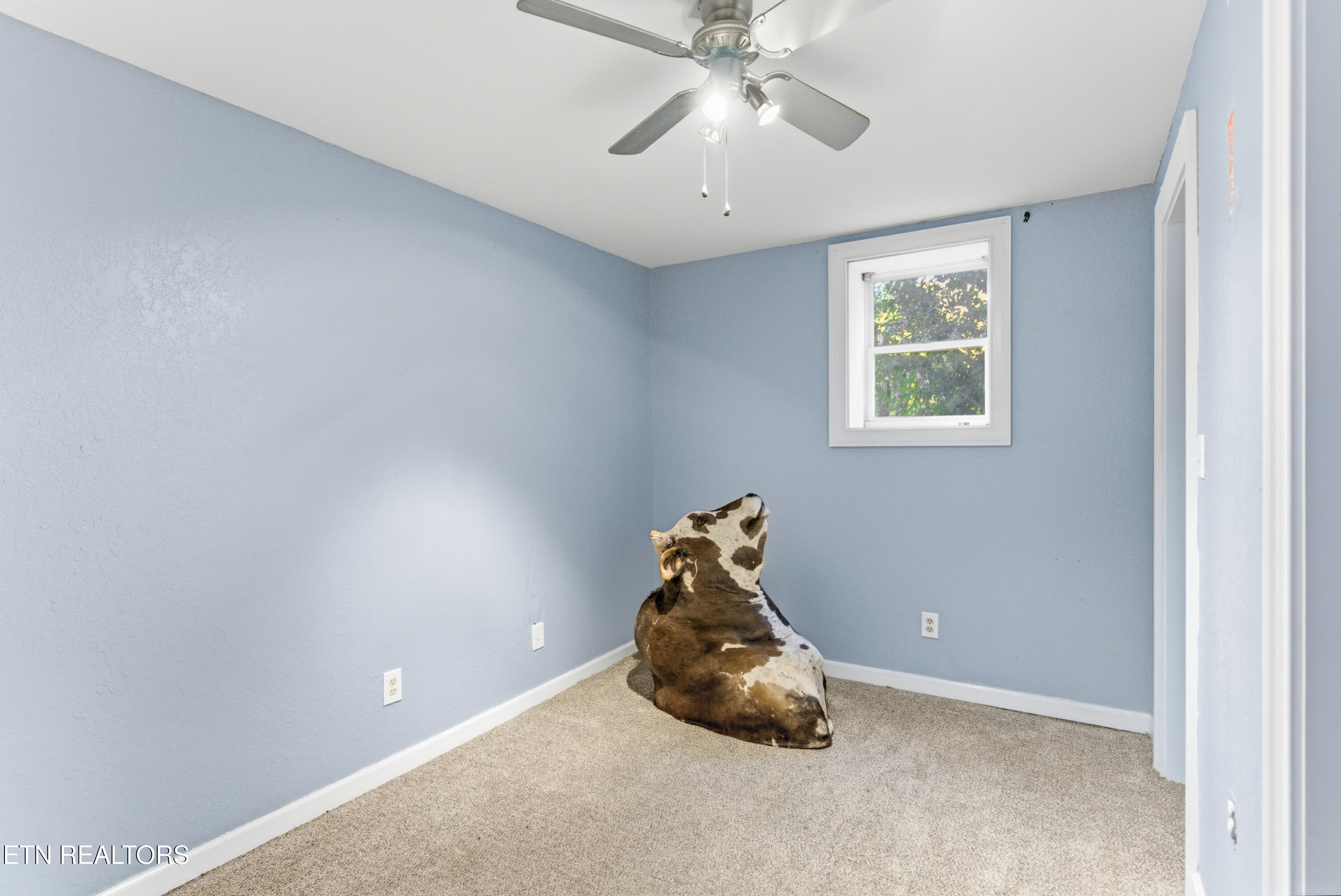 2833 Ithaca Drive Knoxville TN 37918