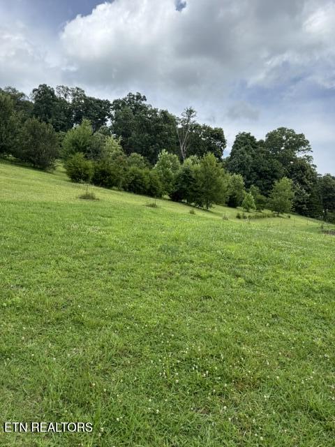 280 Dutchess Drive Luttrell TN 37779