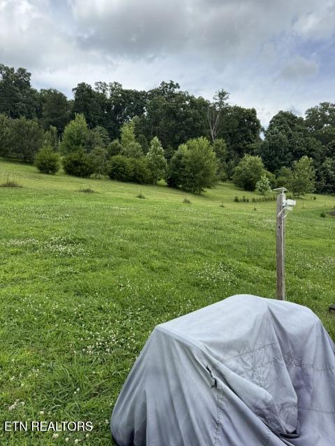 280 Dutchess Drive Luttrell TN 37779