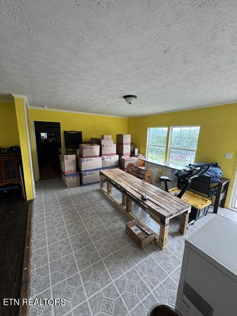 280 Dutchess Drive Luttrell TN 37779