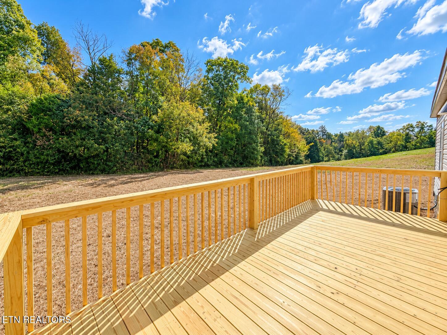 820 Elaine Drive Tazewell TN 37879