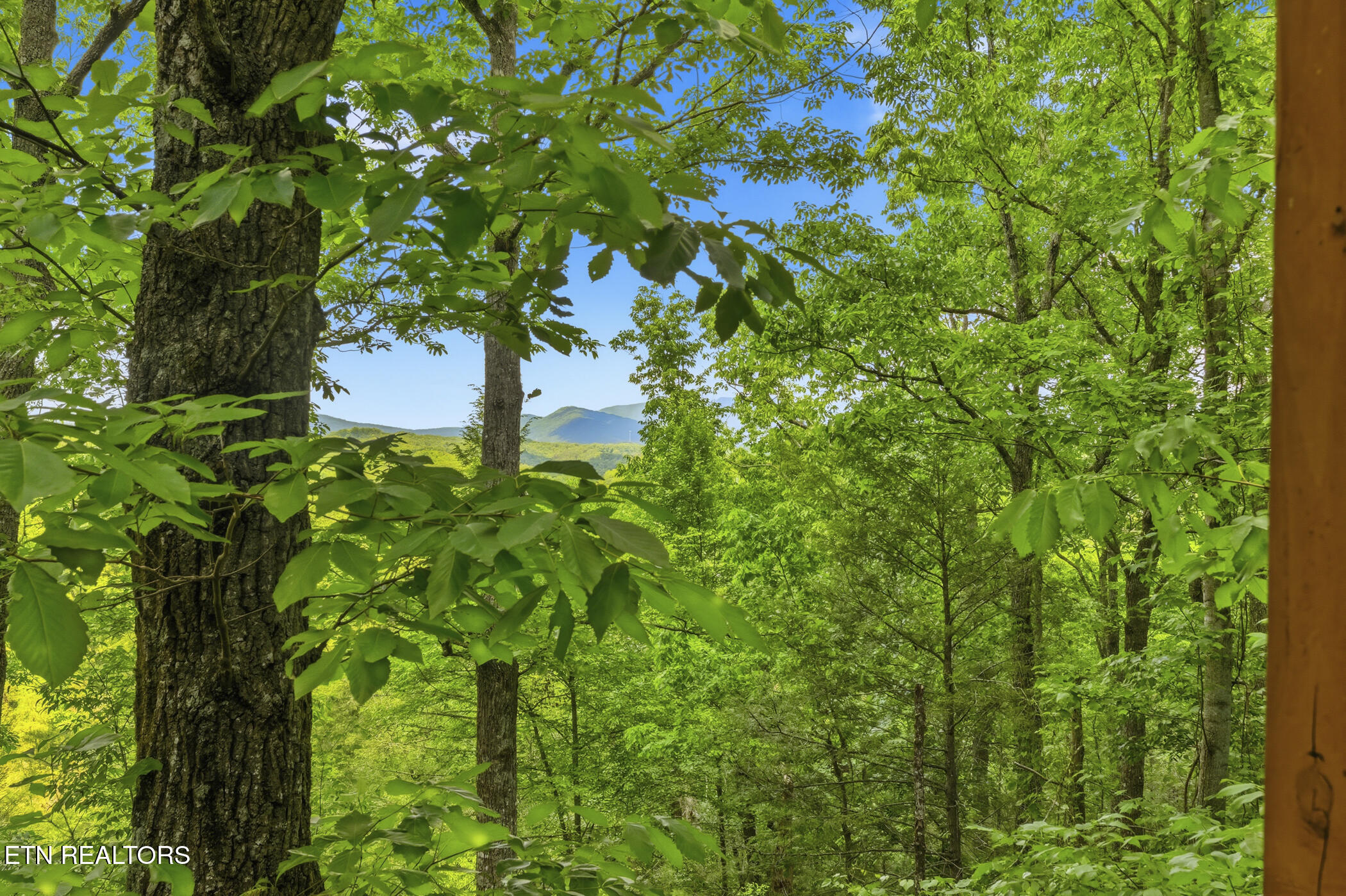 3005 Mountain Memories Way Sevierville TN 37876