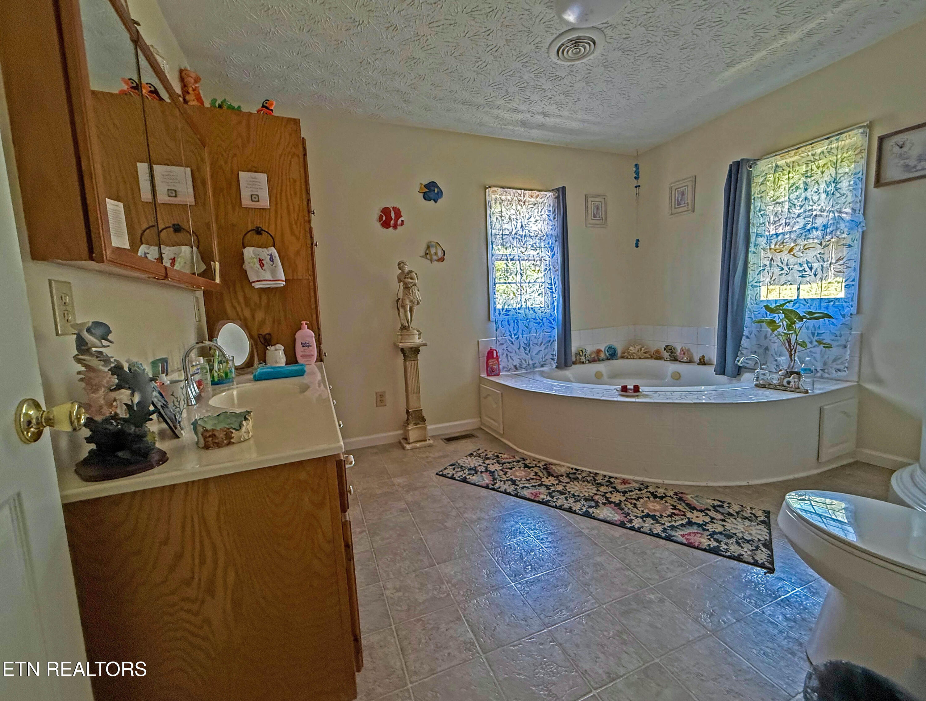 805 Punkton Road Del Rio TN 37727