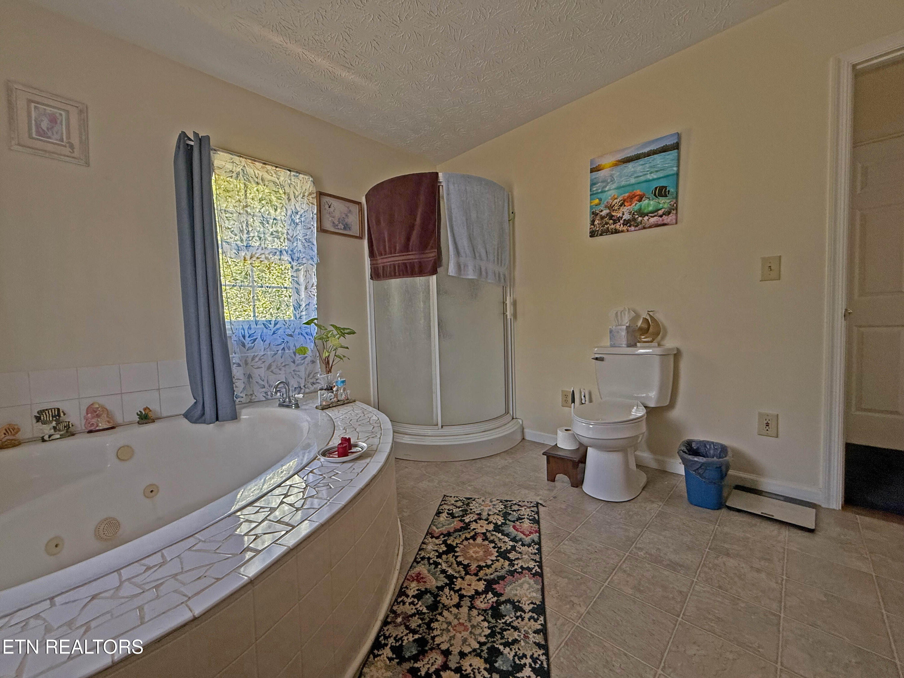805 Punkton Road Del Rio TN 37727