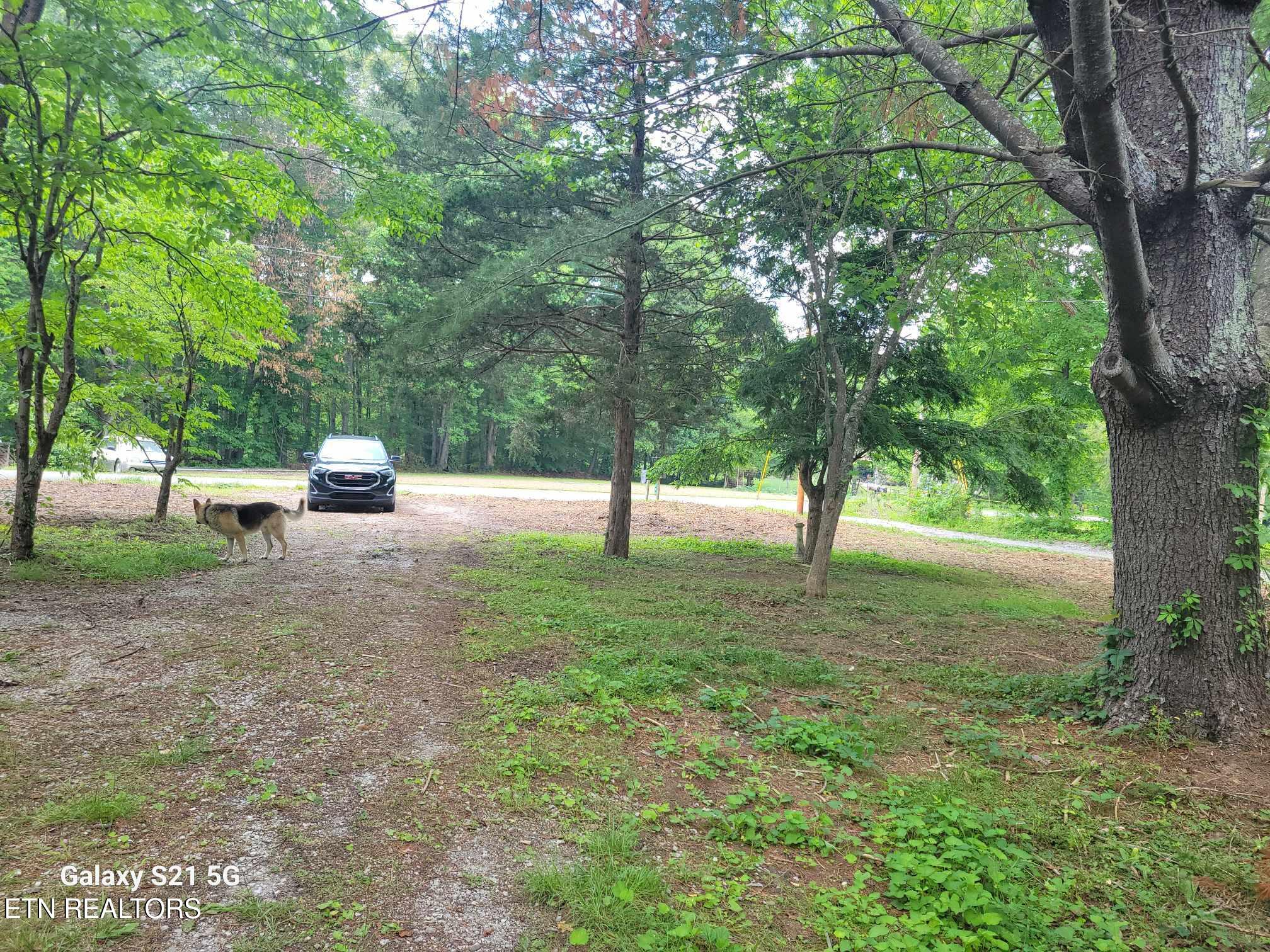 376 Choate Lane Oneida TN 37841
