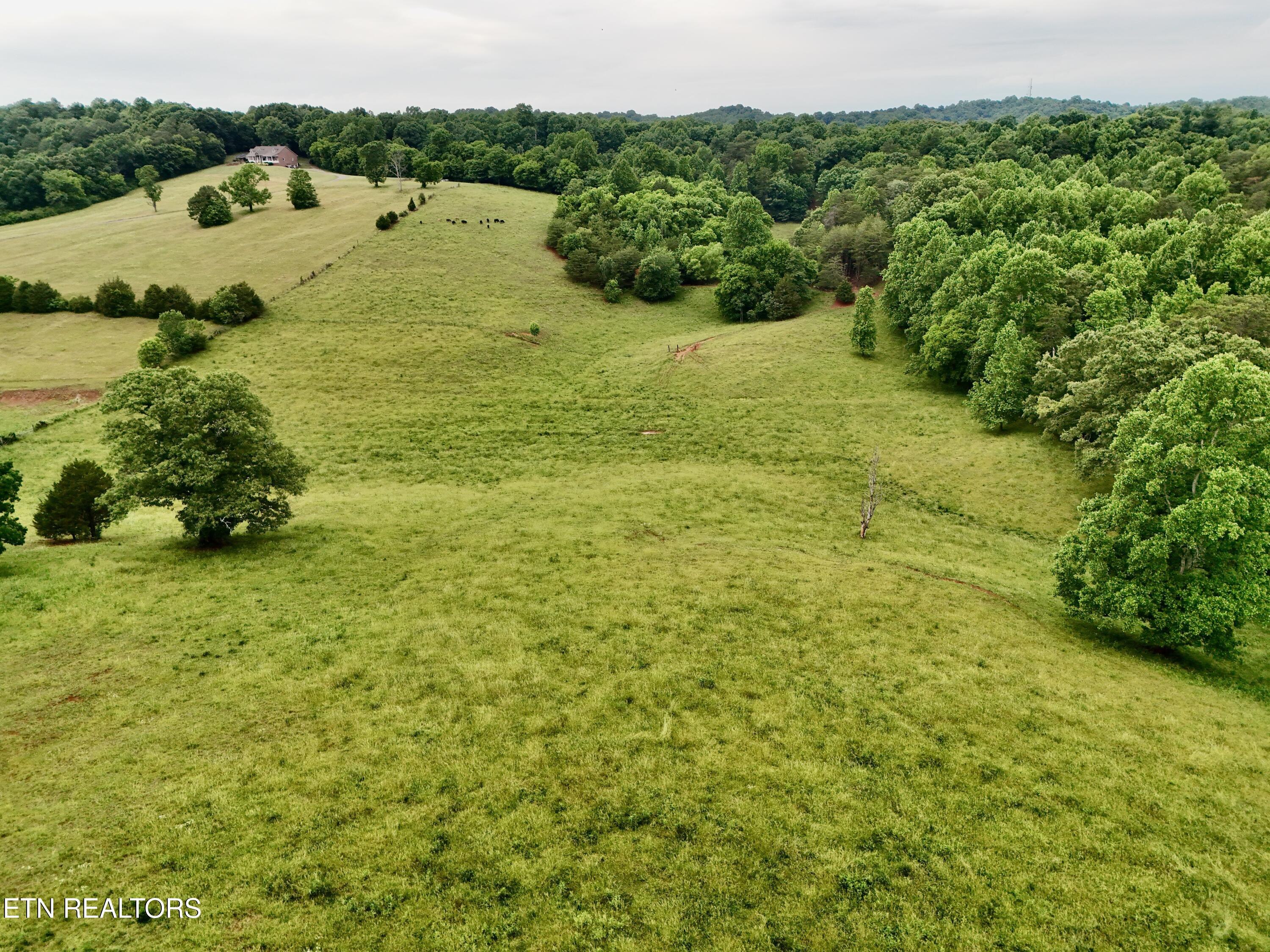 630 Kenny Brook Lane Greenback TN 37742