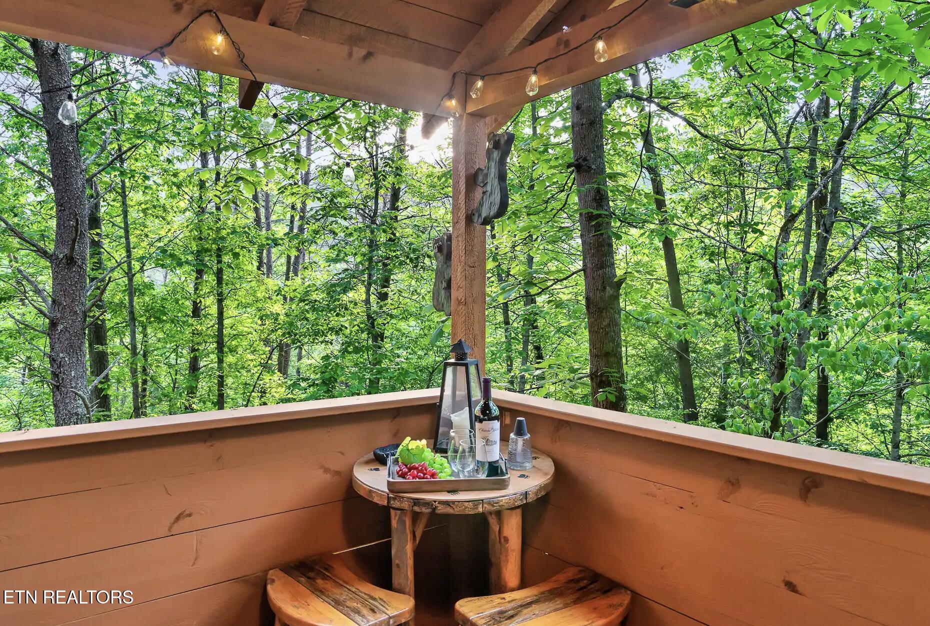3513 Country Pines Way Sevierville TN 37876