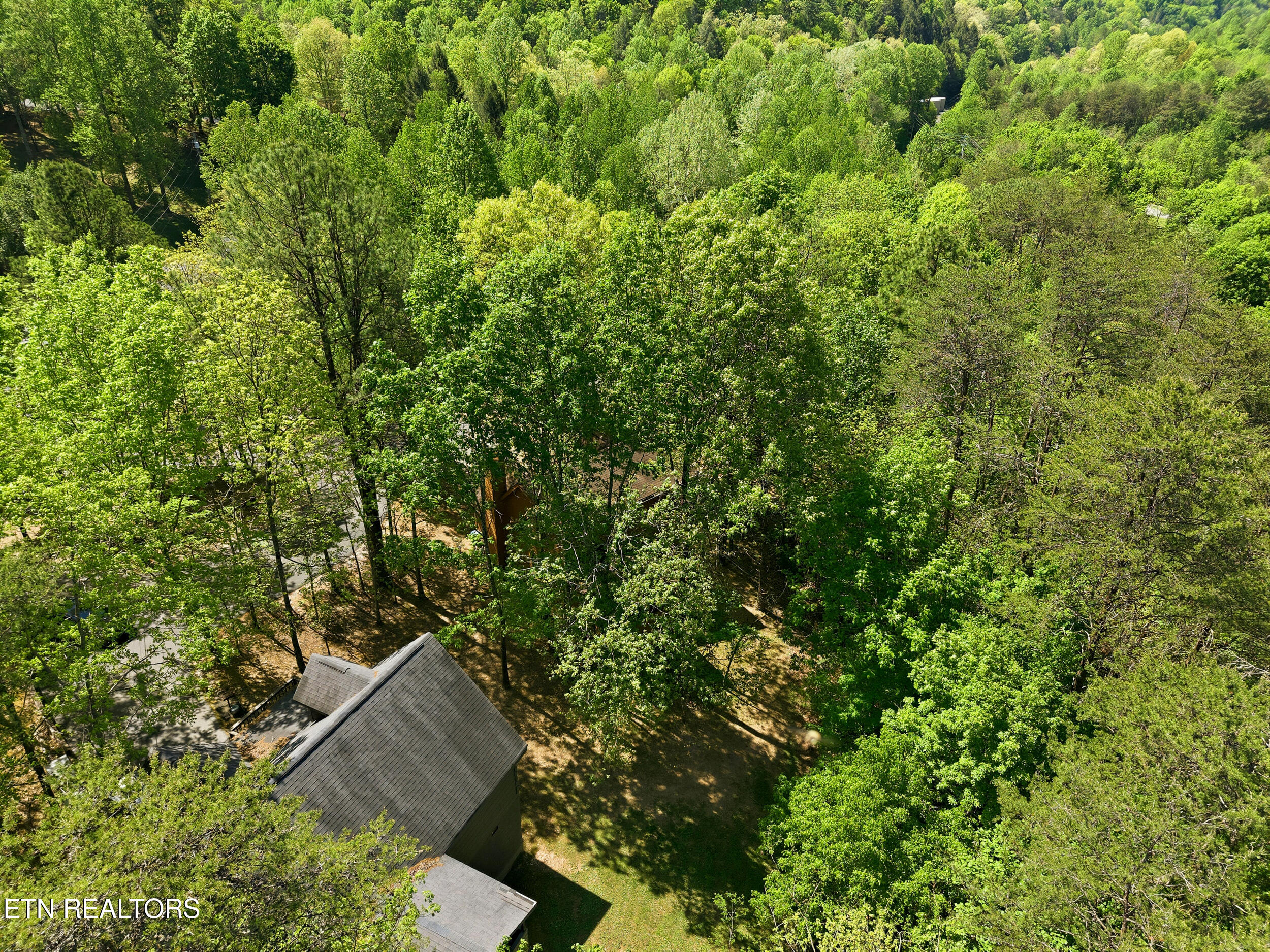 3513 Country Pines Way Sevierville TN 37876