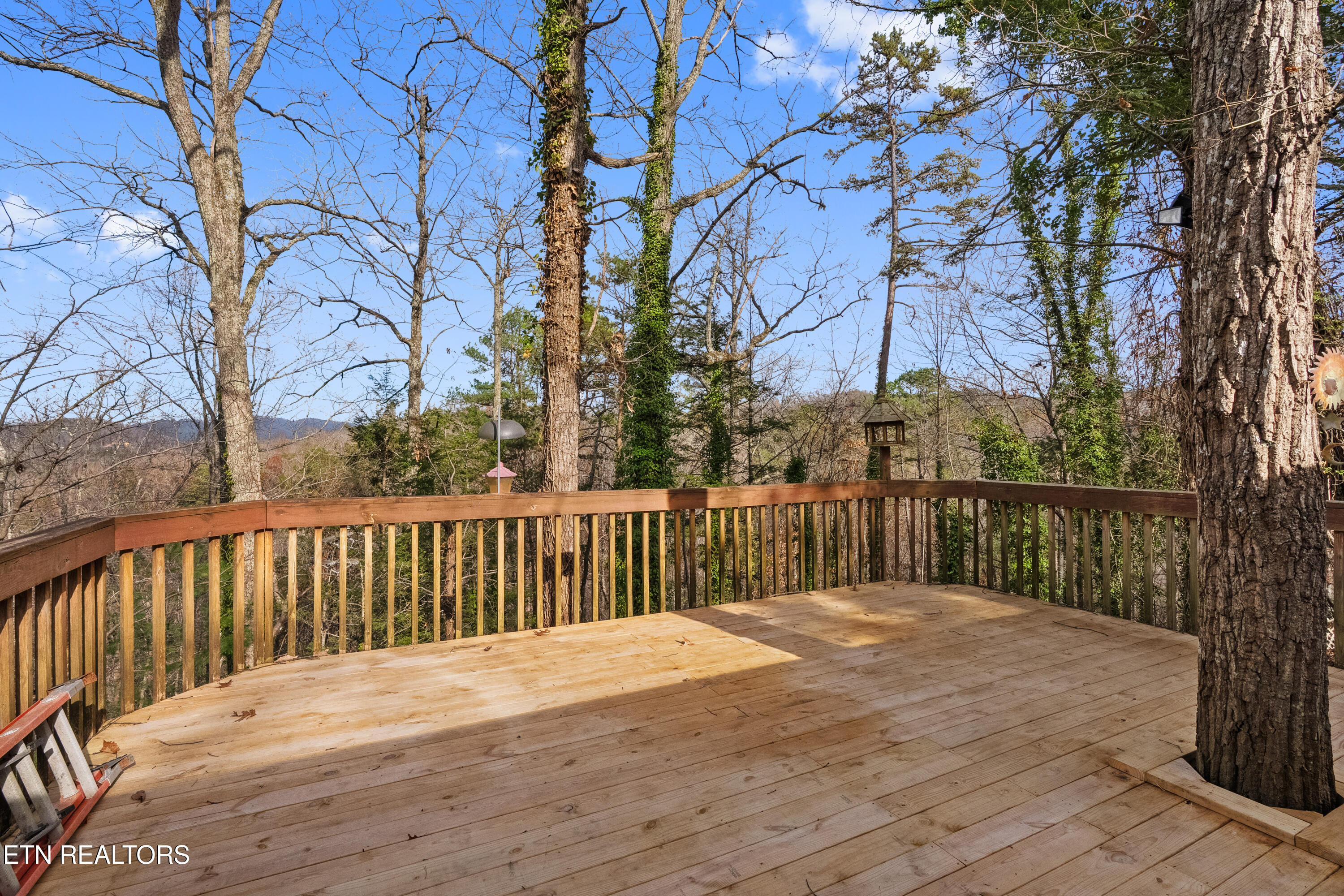 335 Buena Vista Drive Sevierville TN 37876
