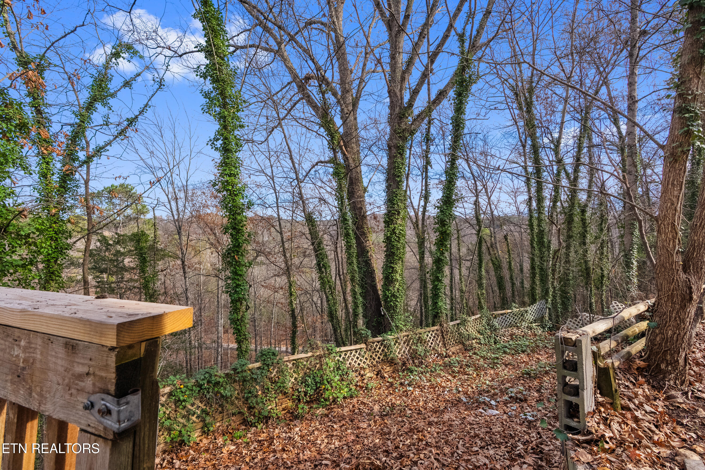 335 Buena Vista Drive Sevierville TN 37876