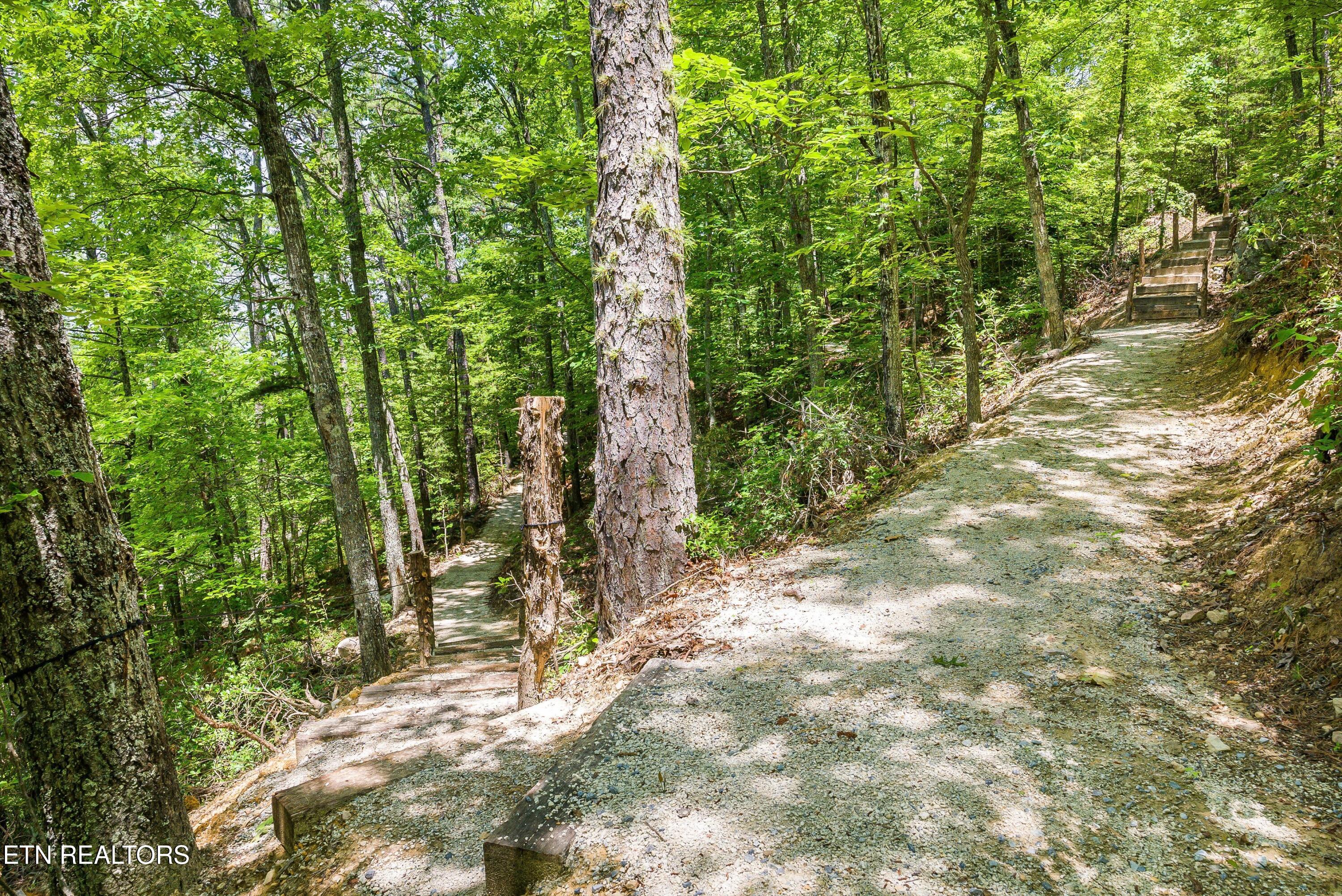 3456 Bear Mountain Lane Sevierville TN 37876