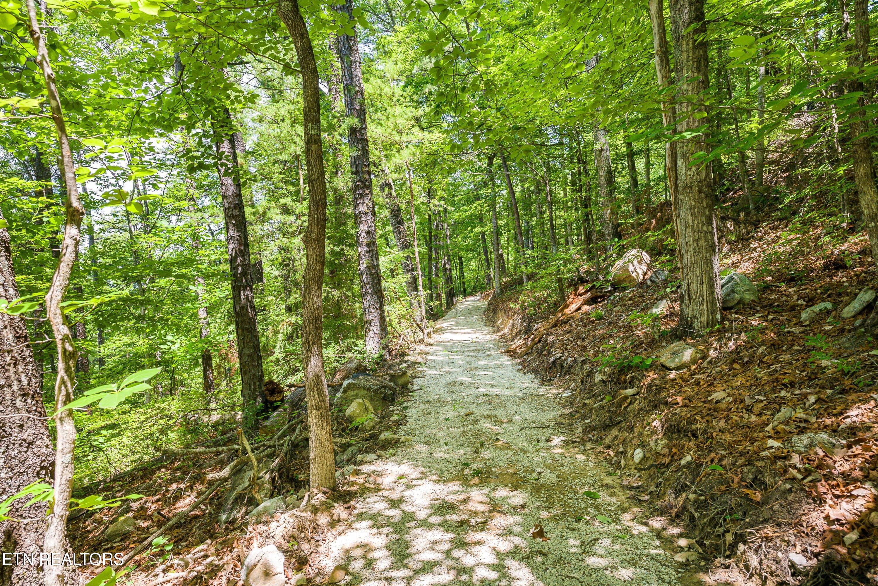 3456 Bear Mountain Lane Sevierville TN 37876