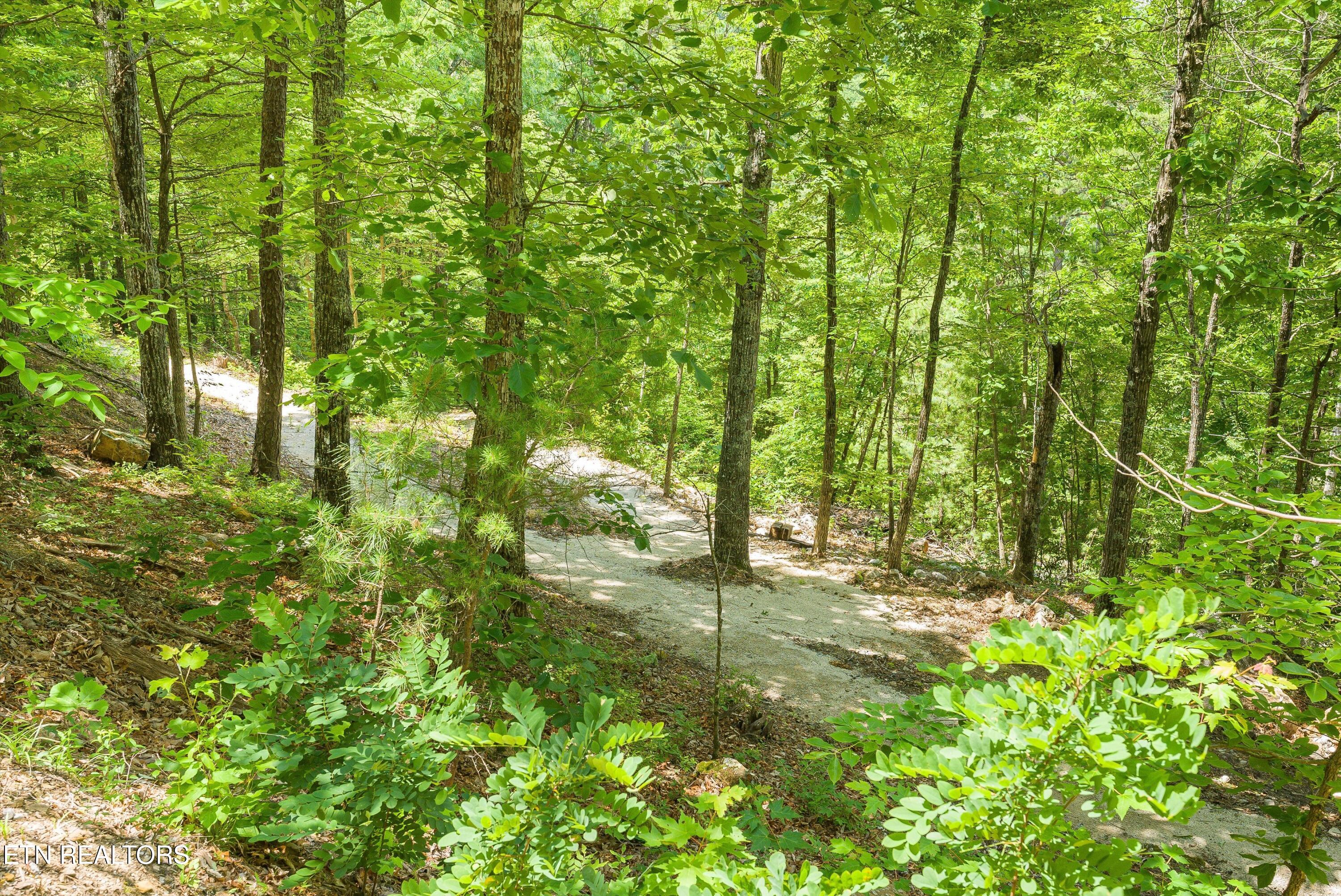 3456 Bear Mountain Lane Sevierville TN 37876