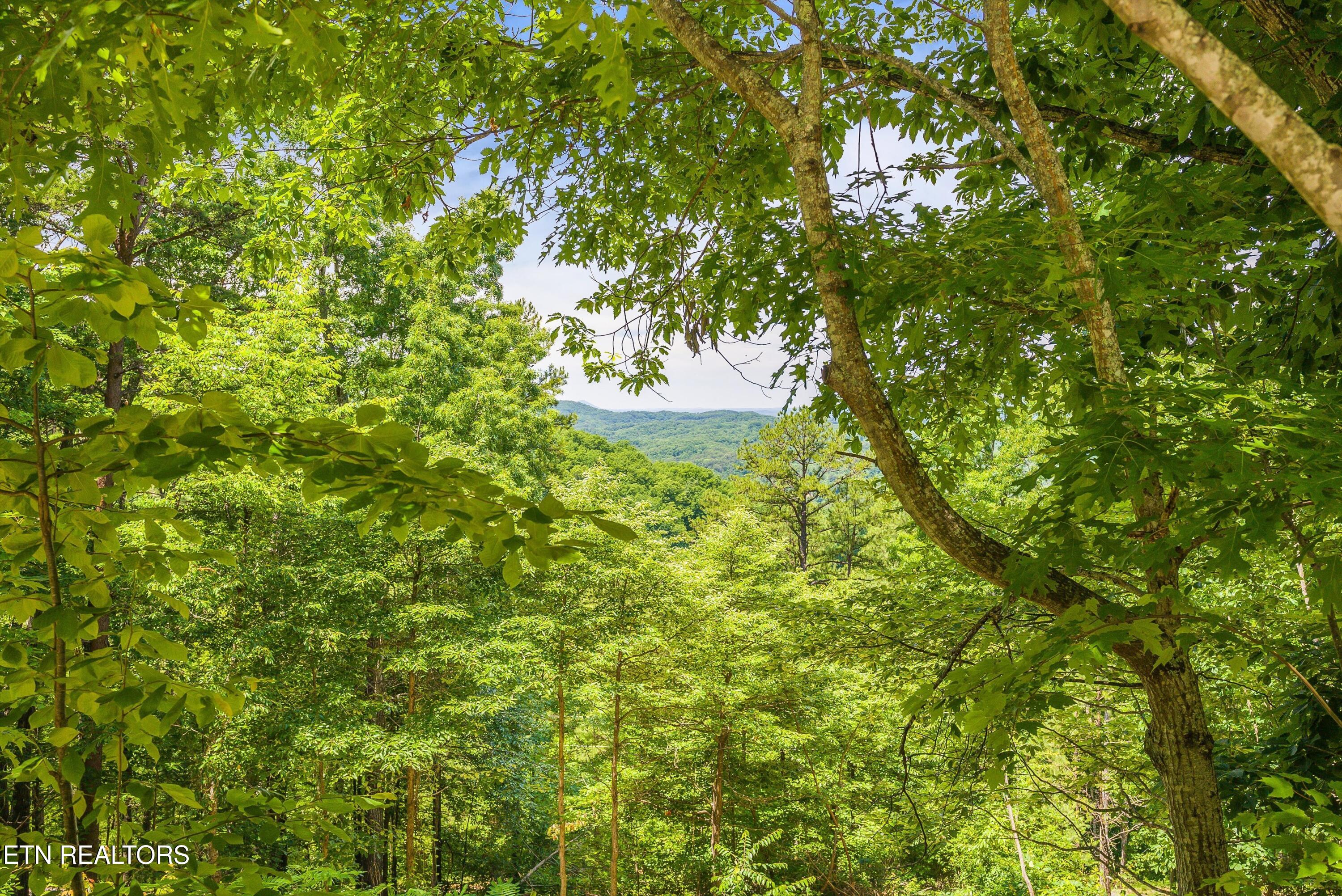 3456 Bear Mountain Lane Sevierville TN 37876