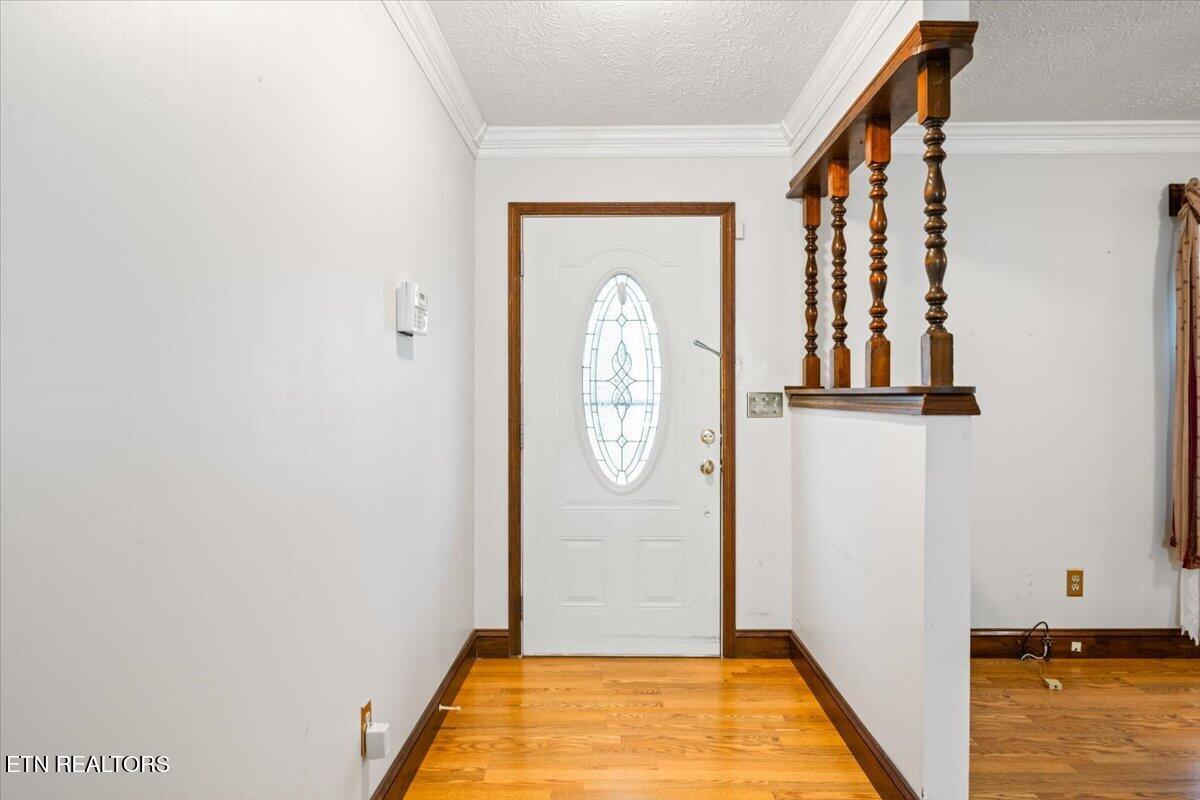 318 Springfield Drive Lafollette TN 37766