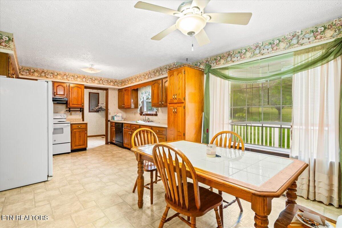 318 Springfield Drive Lafollette TN 37766