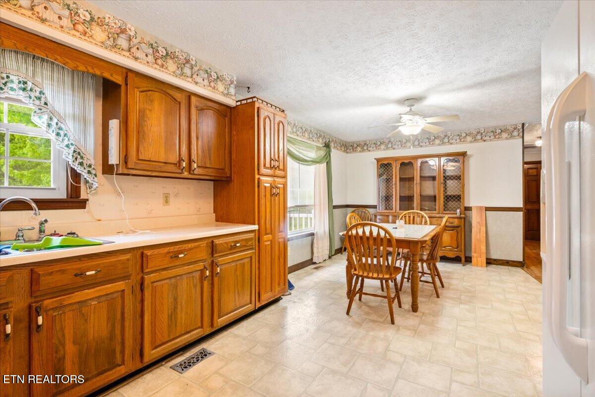 318 Springfield Drive Lafollette TN 37766
