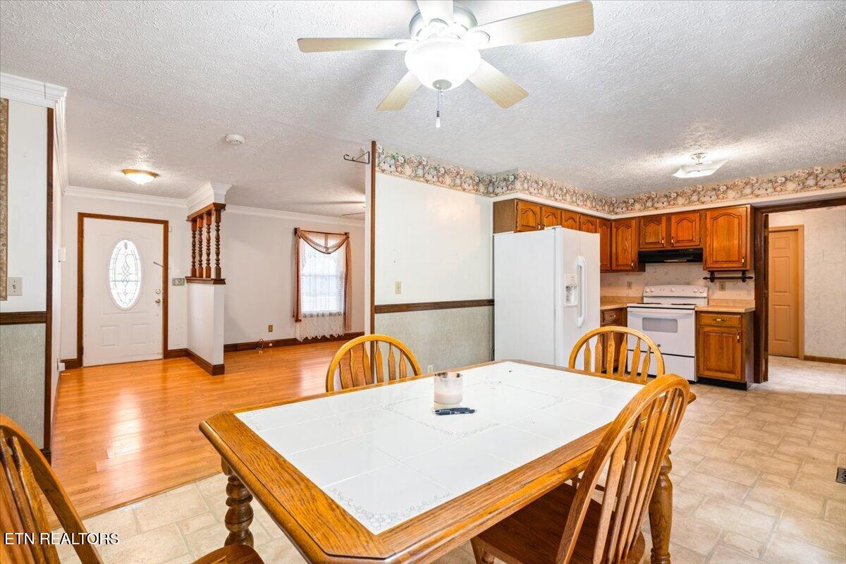 318 Springfield Drive Lafollette TN 37766