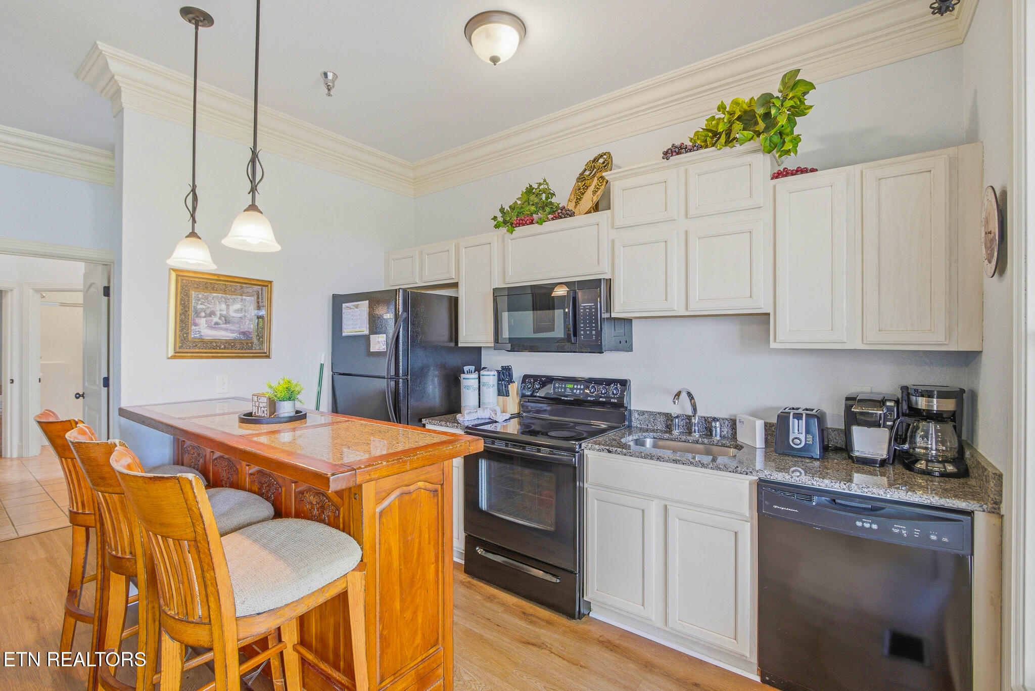 442 Big Bear Way Pigeon Forge TN 37863