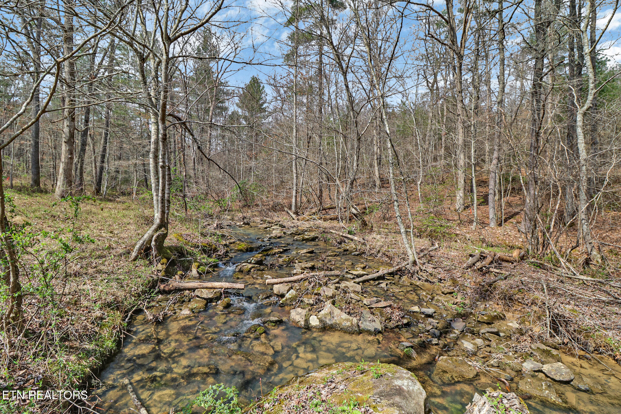 239 Doc Huling Road Robbins TN 37852