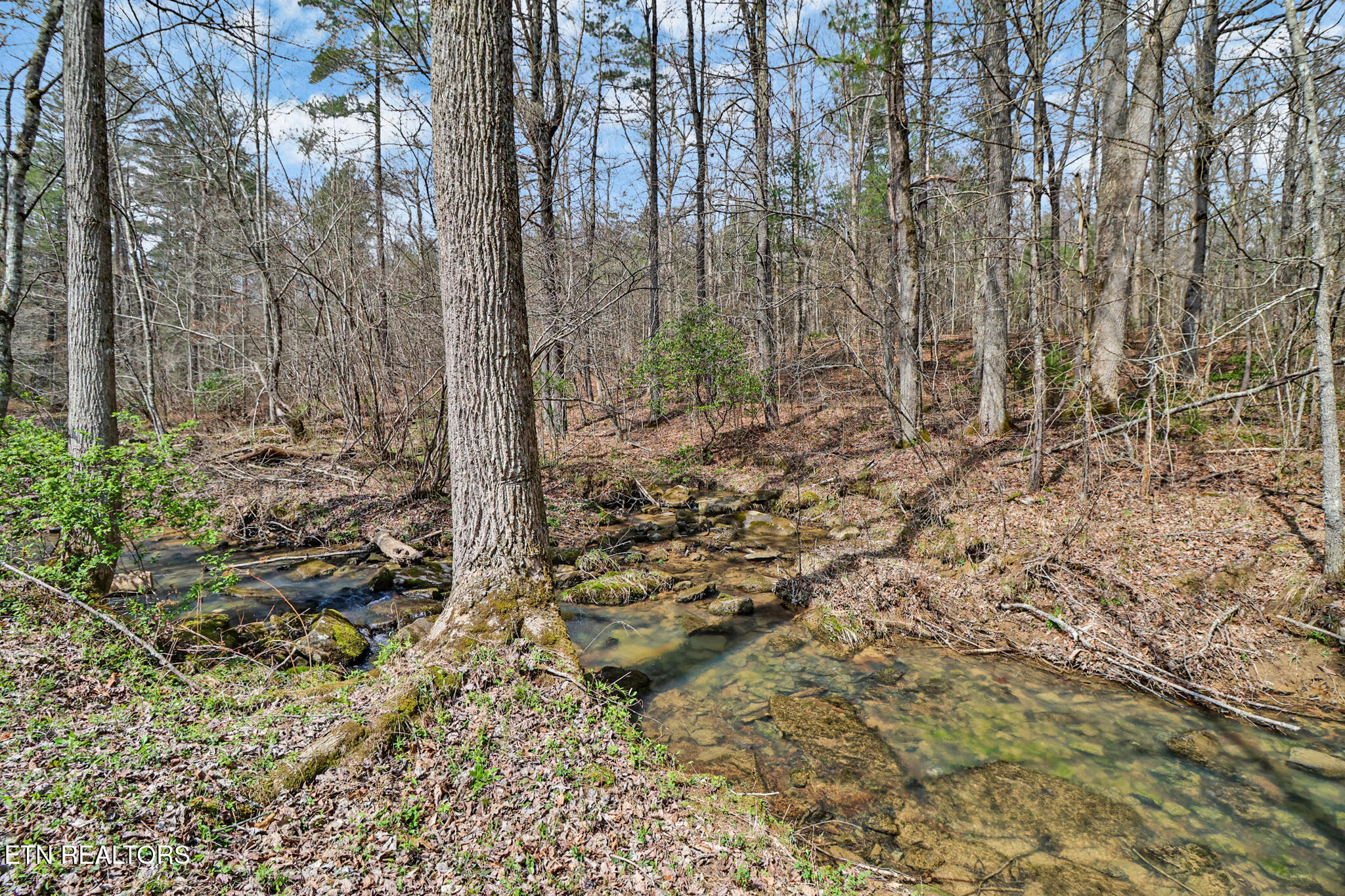 239 Doc Huling Road Robbins TN 37852
