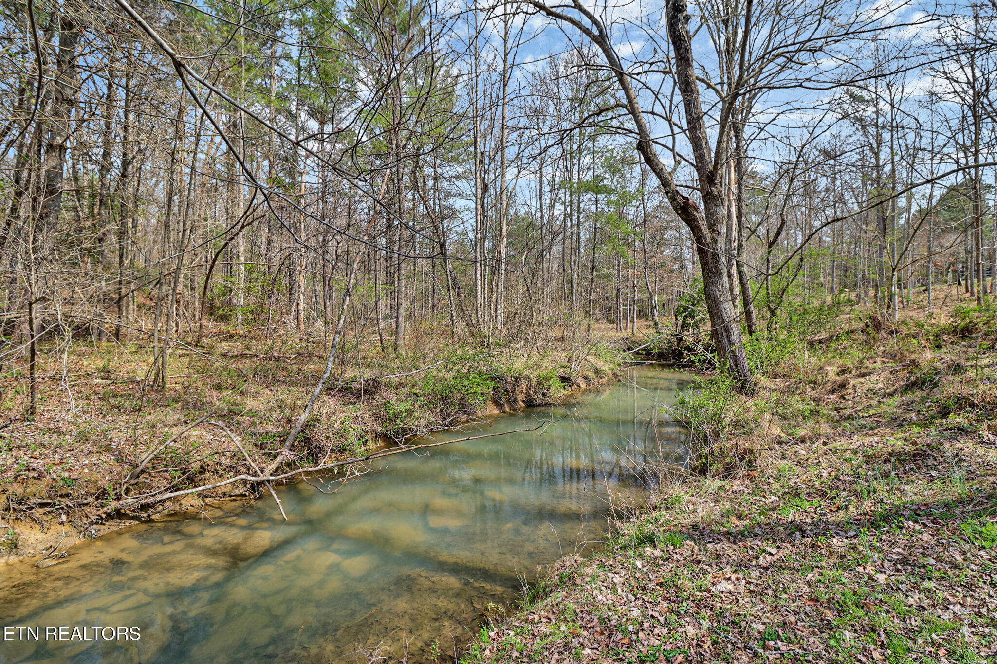 239 Doc Huling Road Robbins TN 37852